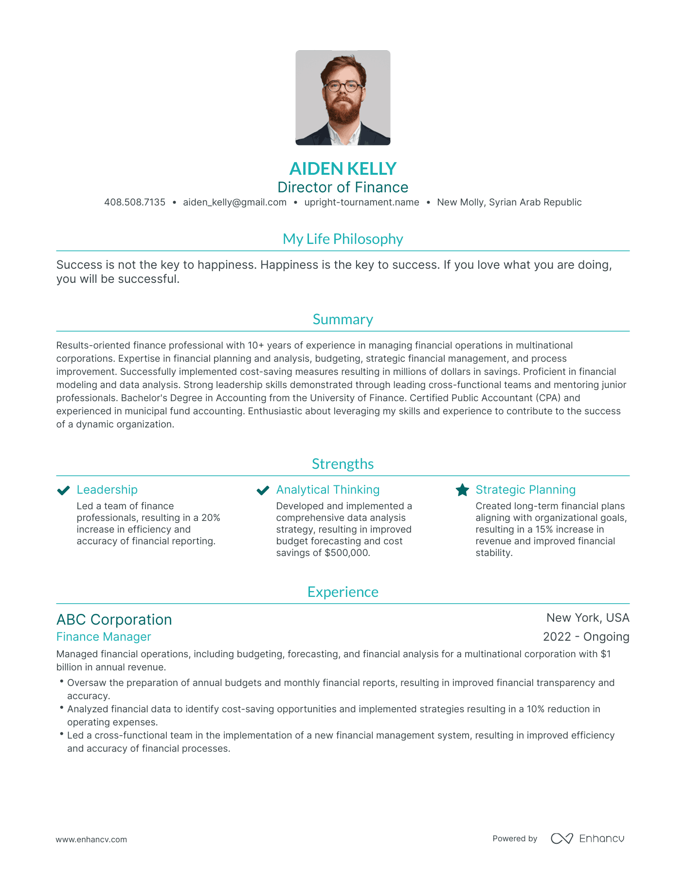 Modern Director of Finance Resume Example