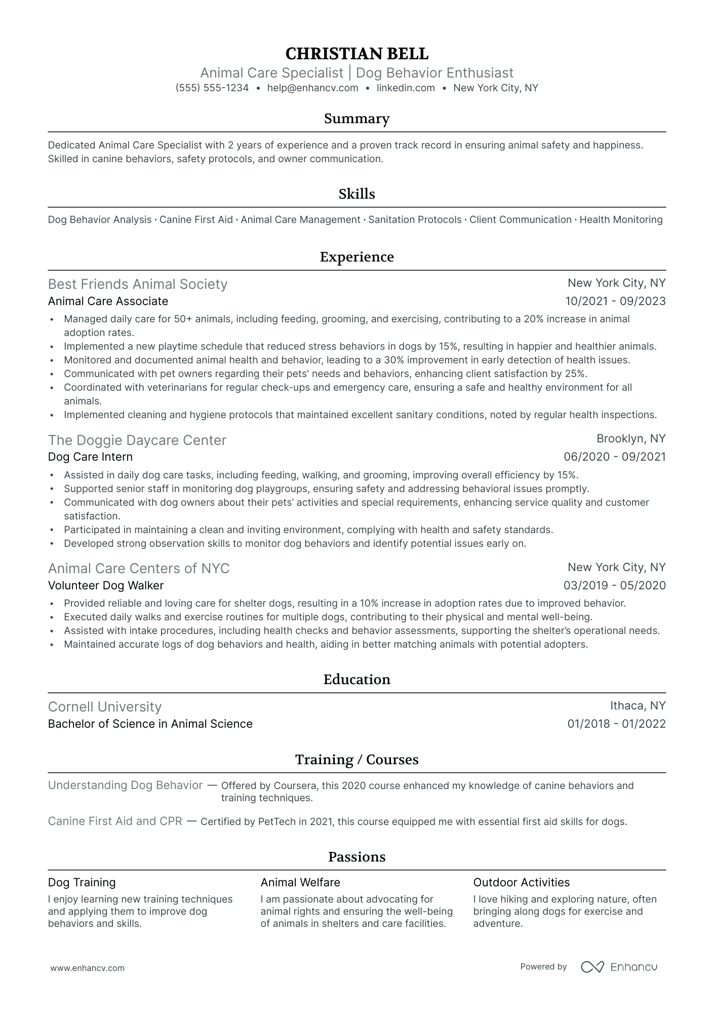 Daycare Counselor resume example