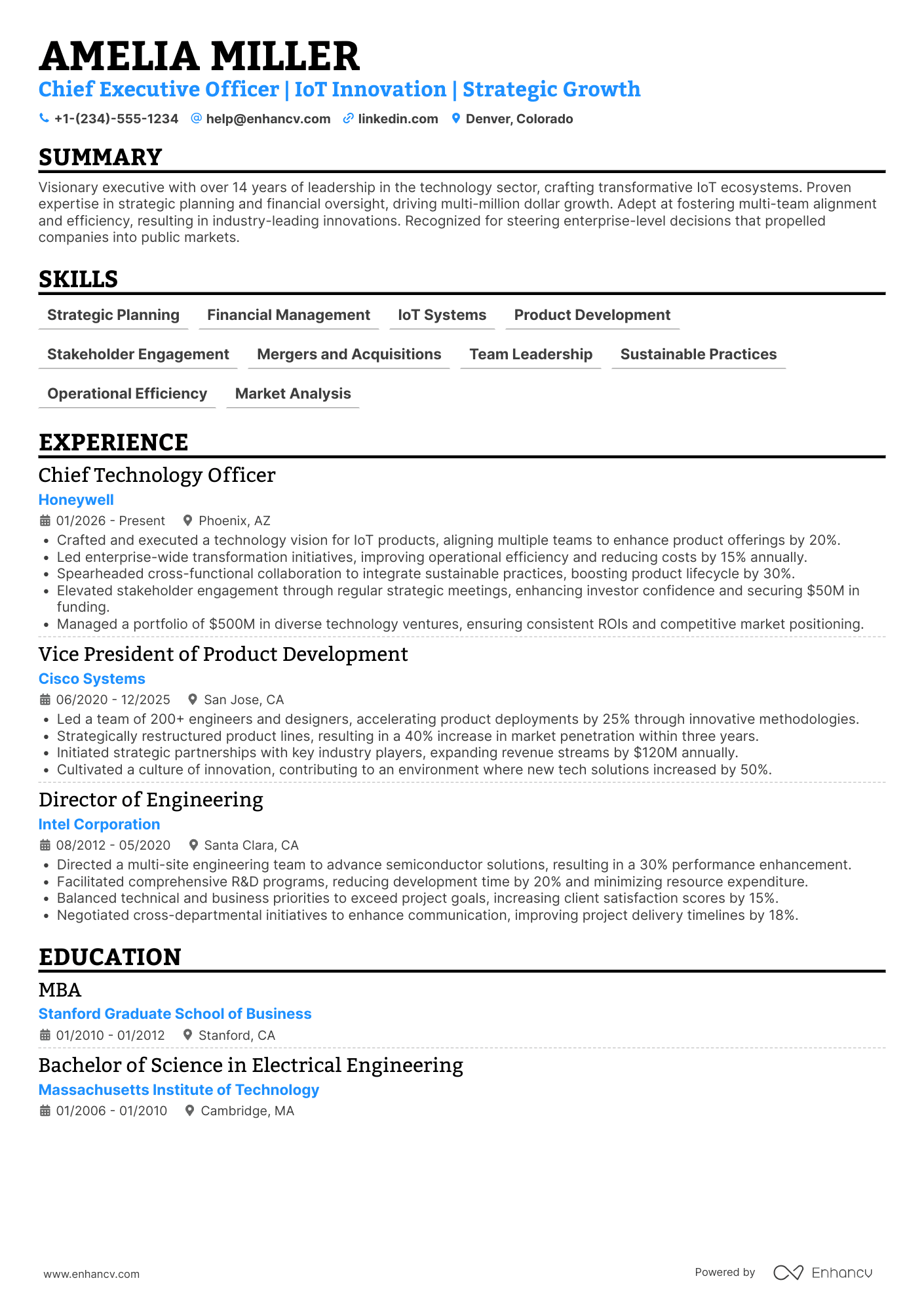 Chief Executive Officer resume example