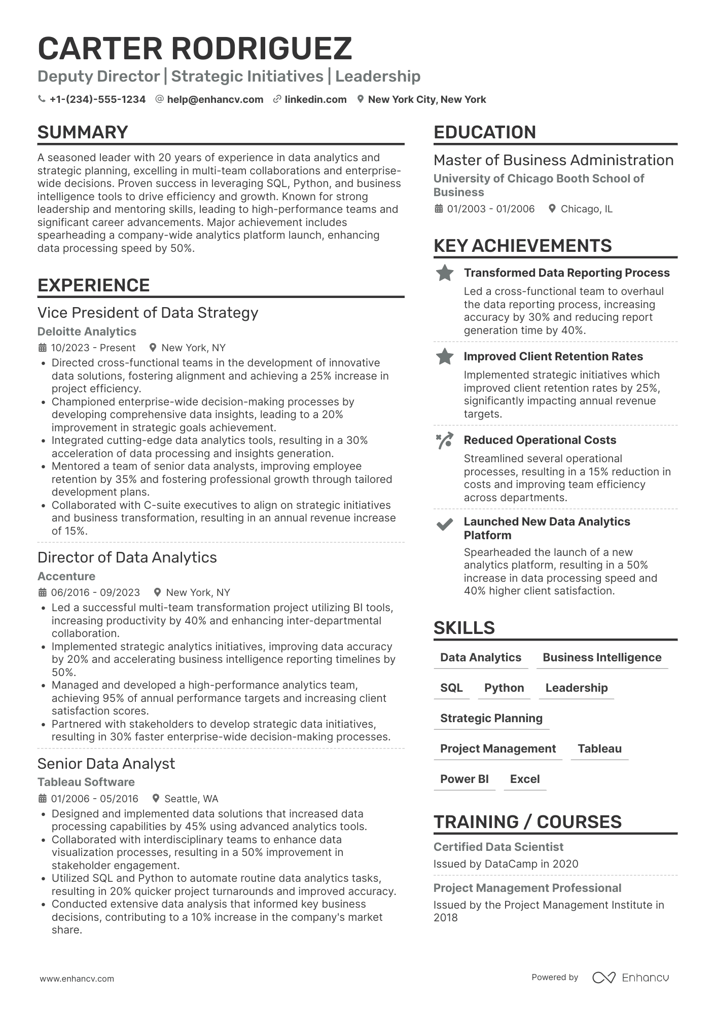 Deputy Director resume example