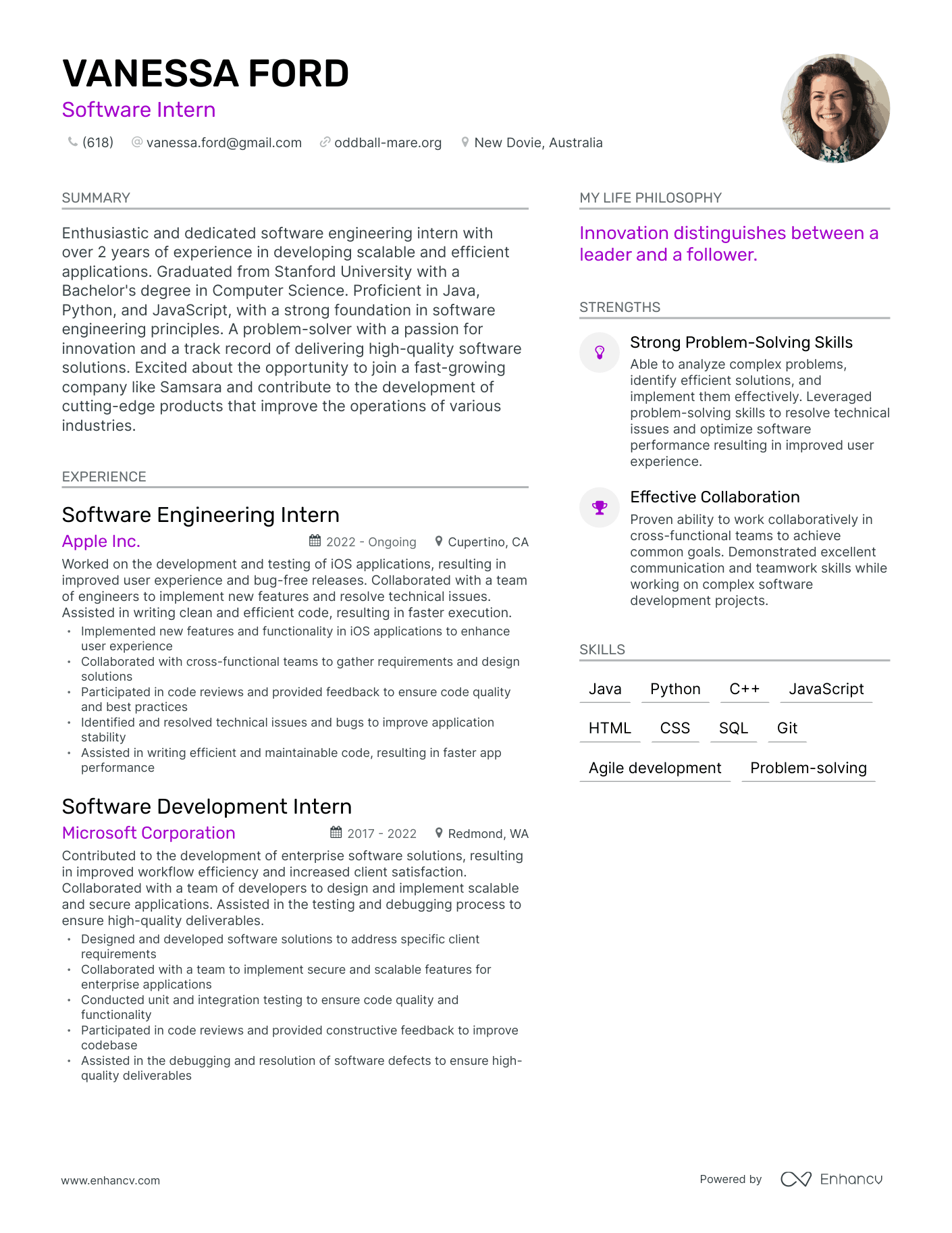 Software Intern resume example