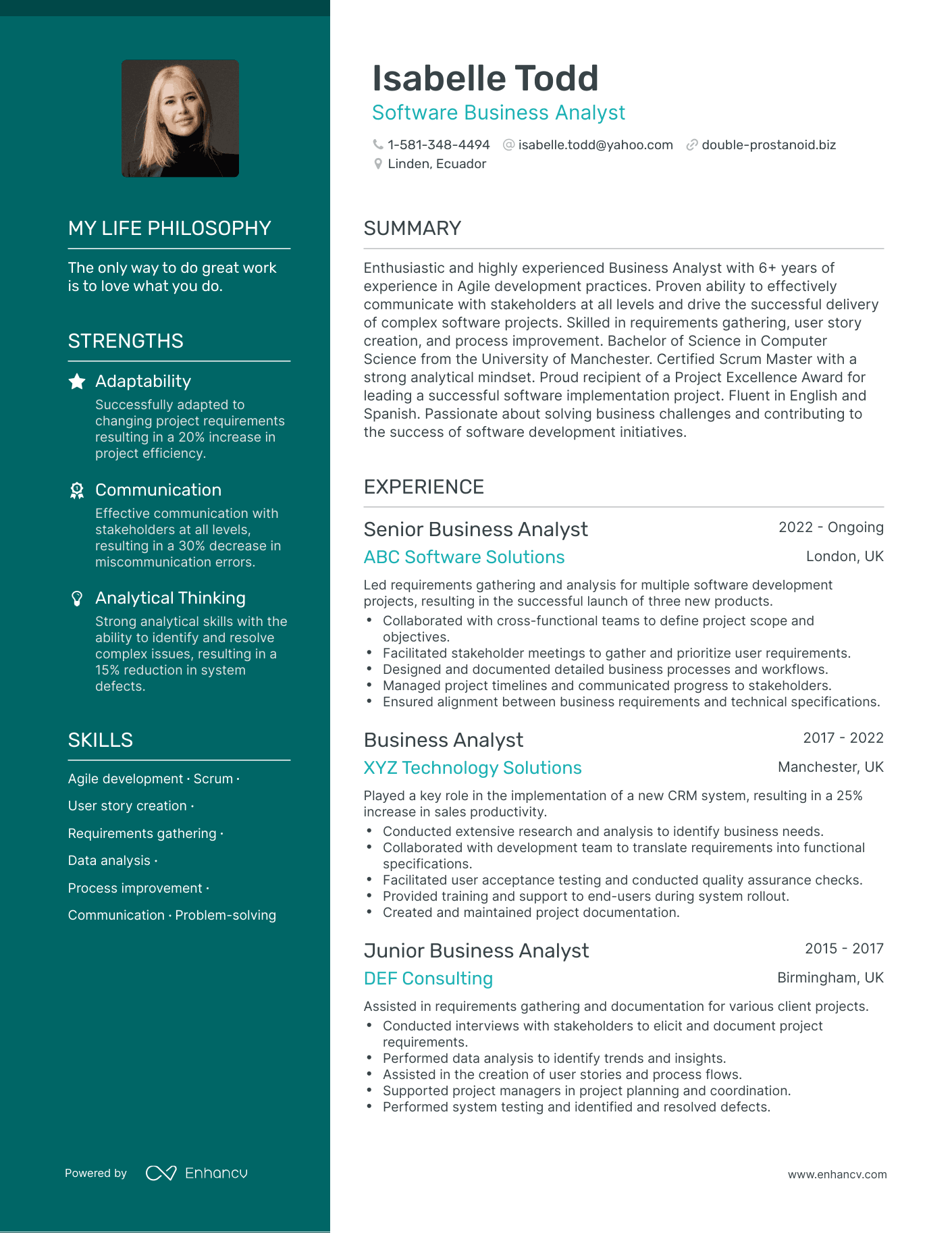 Creative Software Business Analyst Resume Example