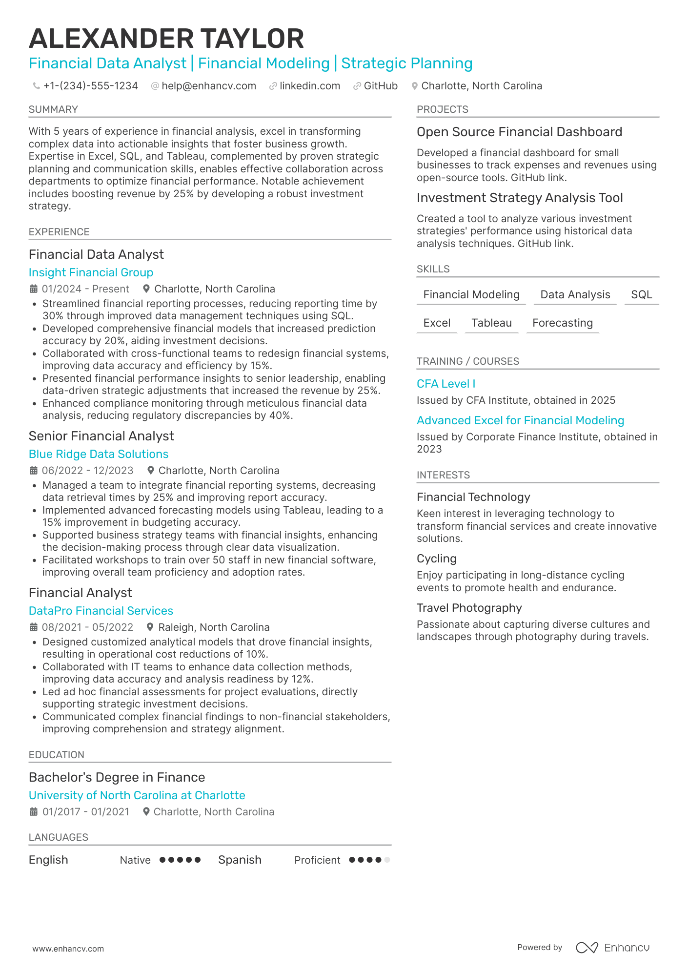 Financial Data Analyst resume example