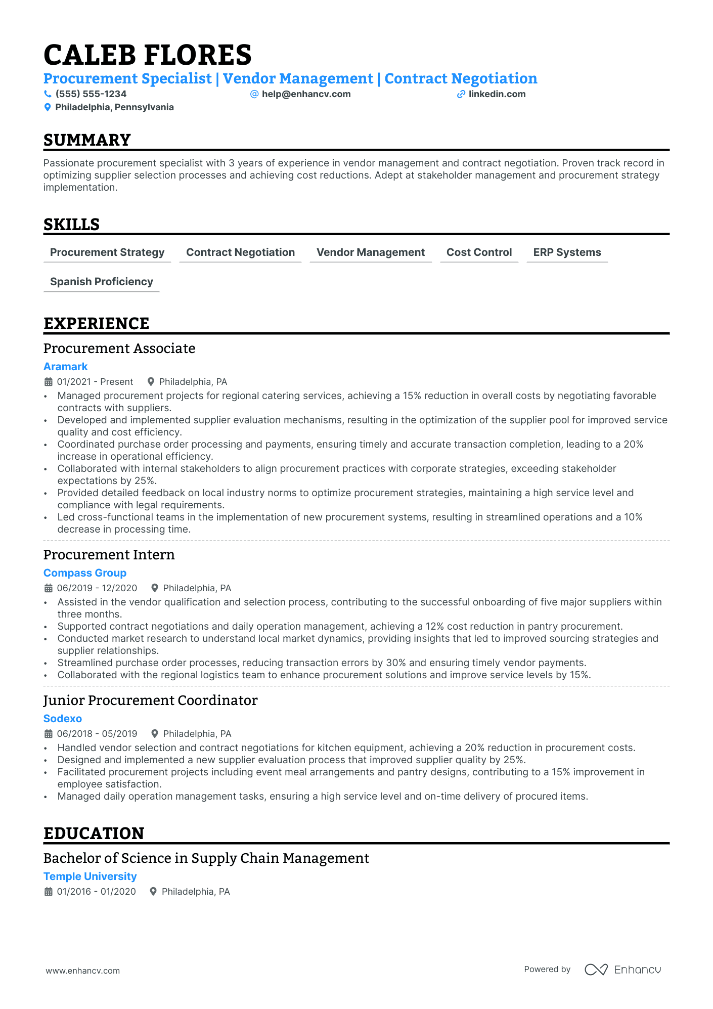 IT Procurement Manager resume example