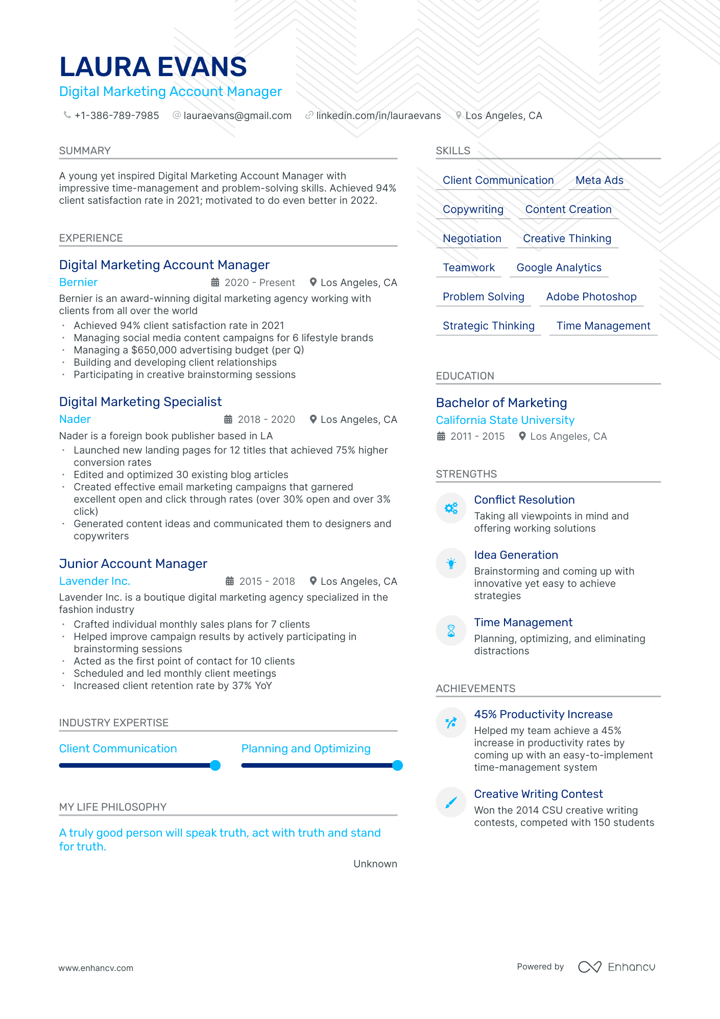 Digital Marketing Account Manager resume example