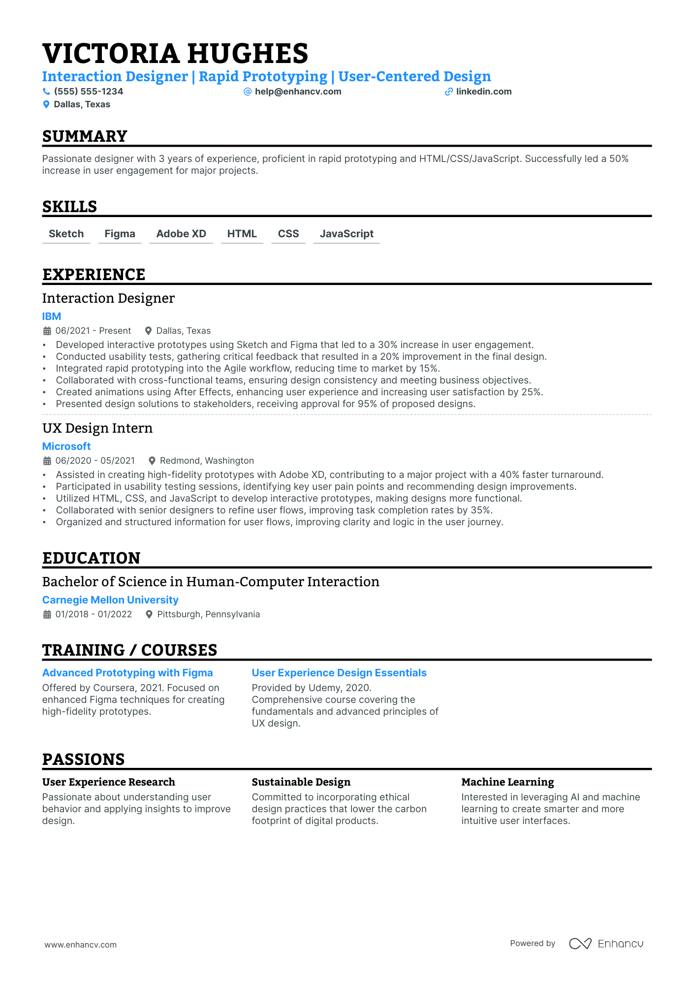 Visual Interaction Designer resume example