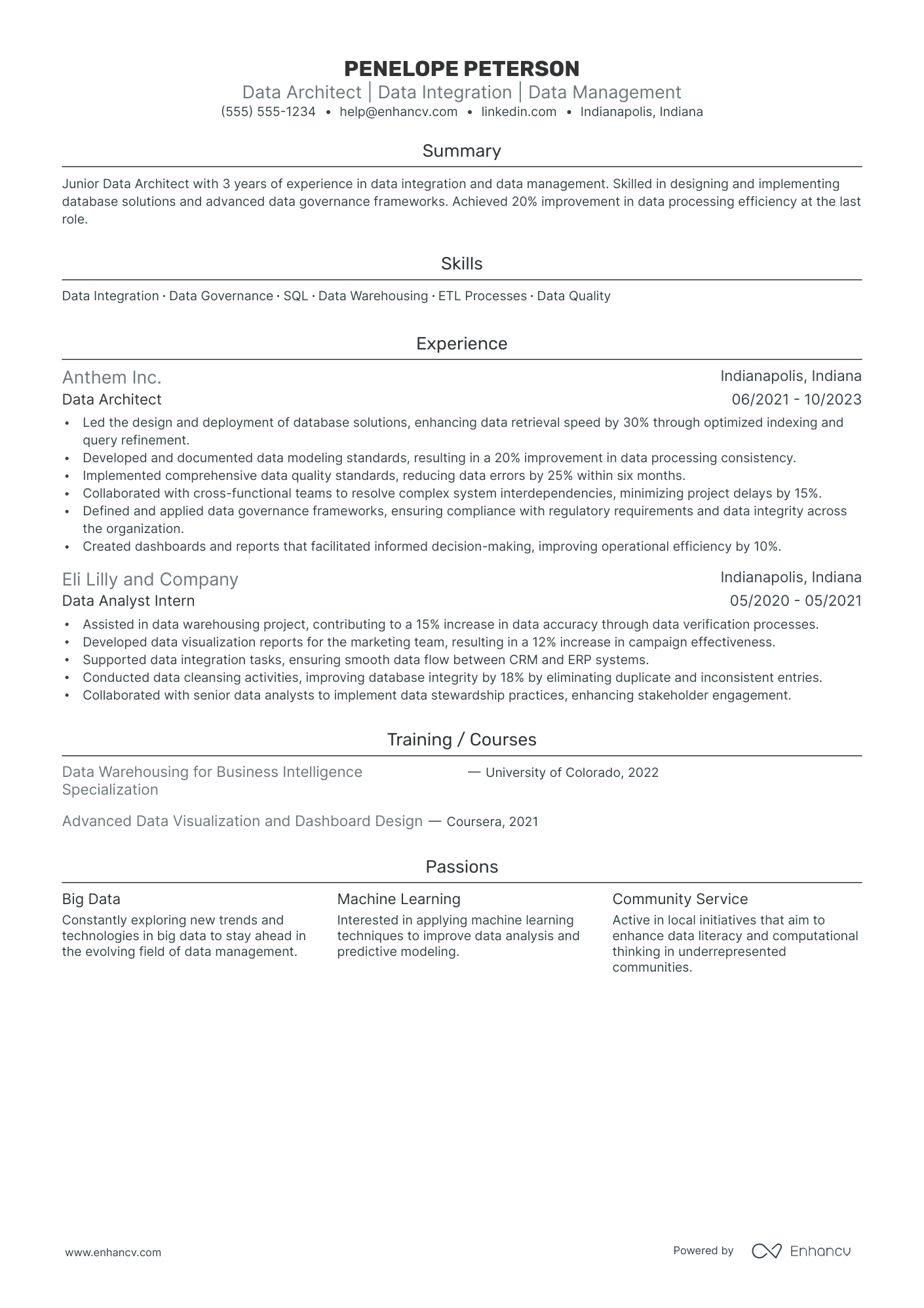 Data Architect resume example