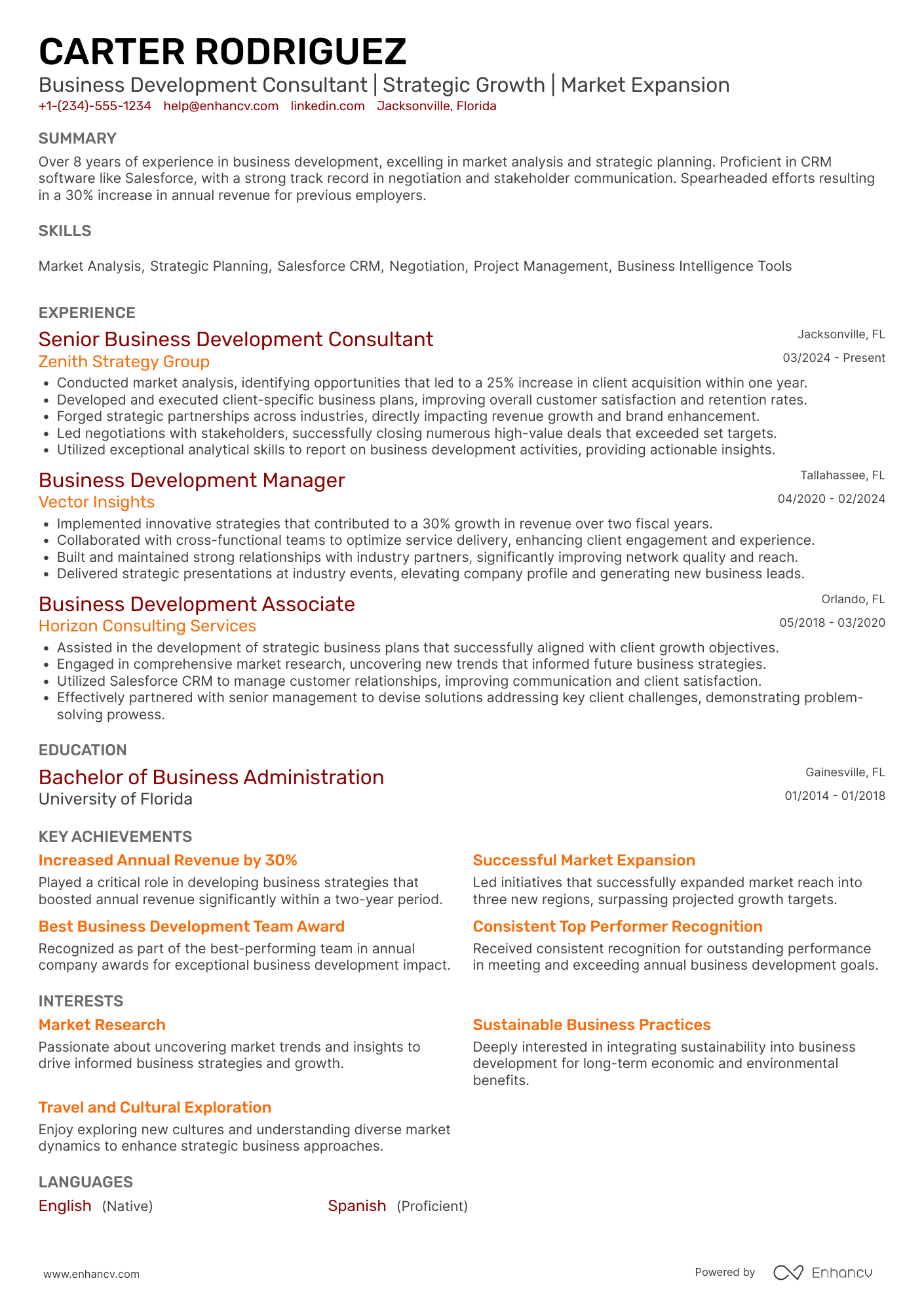 Business Development Consultant resume example