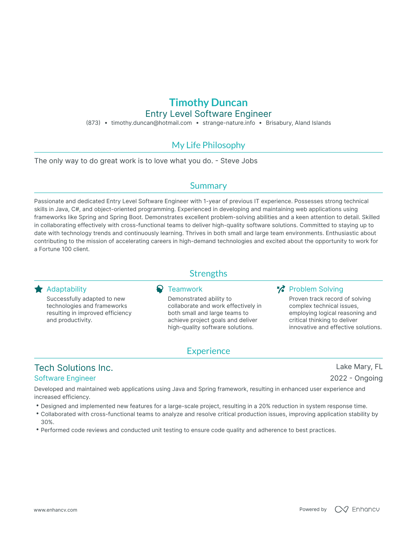 Modern Entry Level Software Engineer Resume Example
