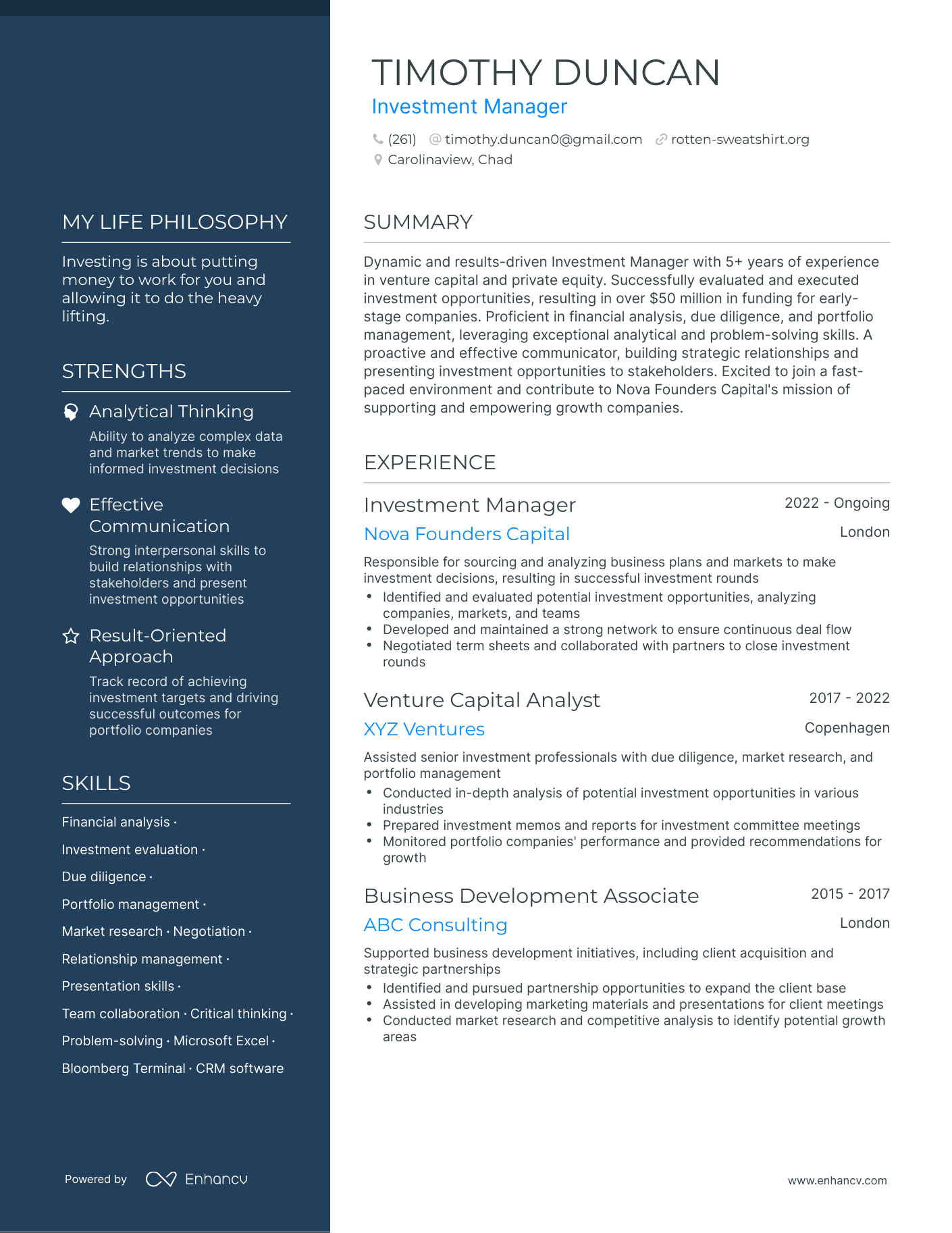 Creative Investment Manager Resume Example