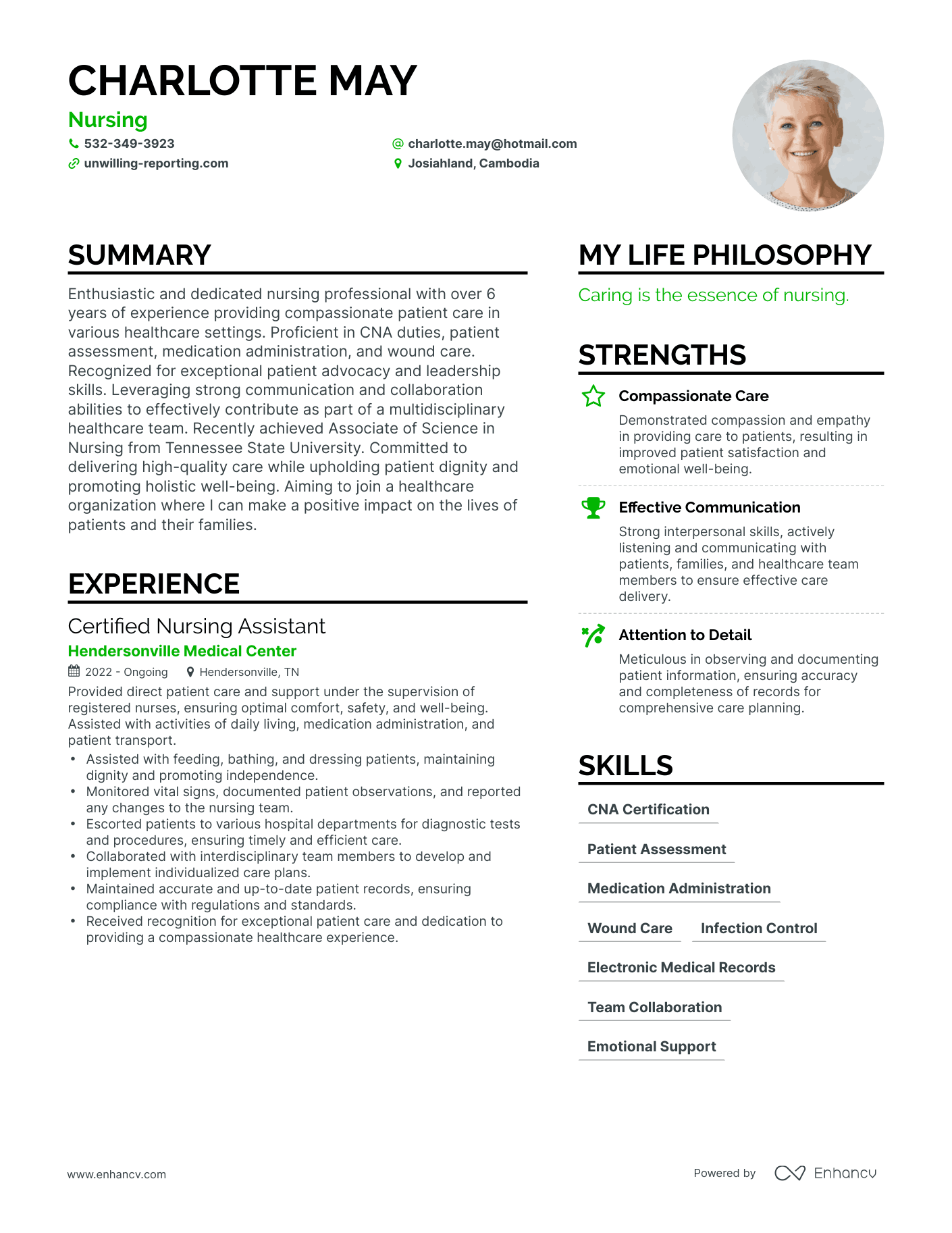 Nursing resume example