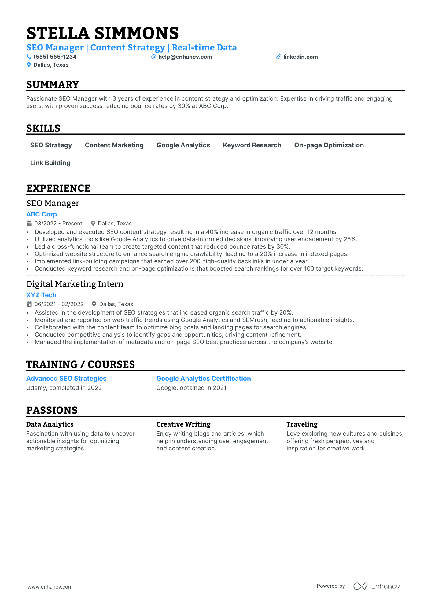 SEO Marketing Manager resume example