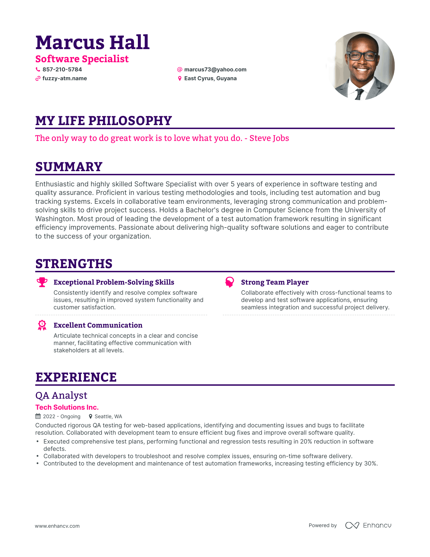 Creative Software Specialist Resume Example