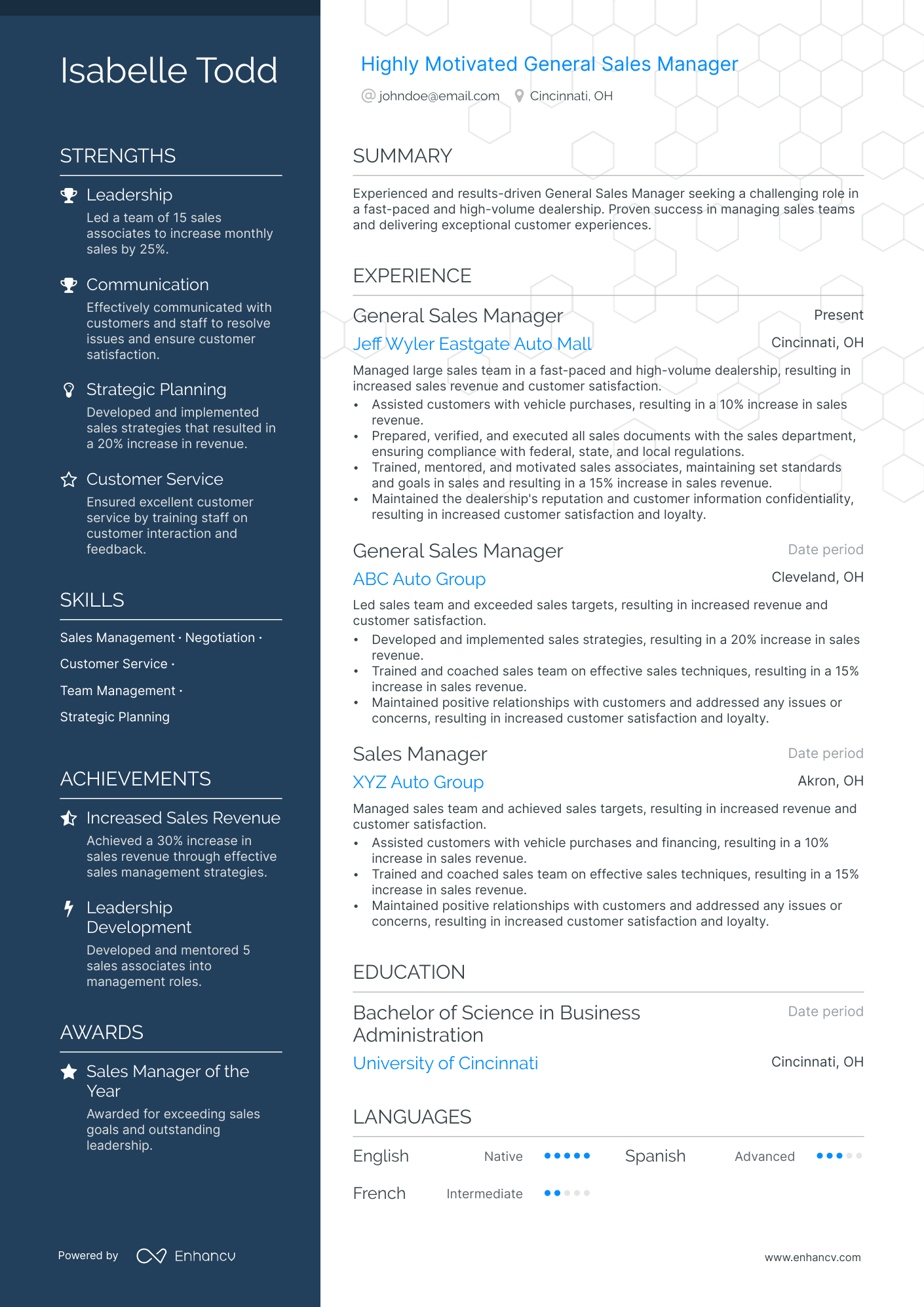General Sales Manager resume example