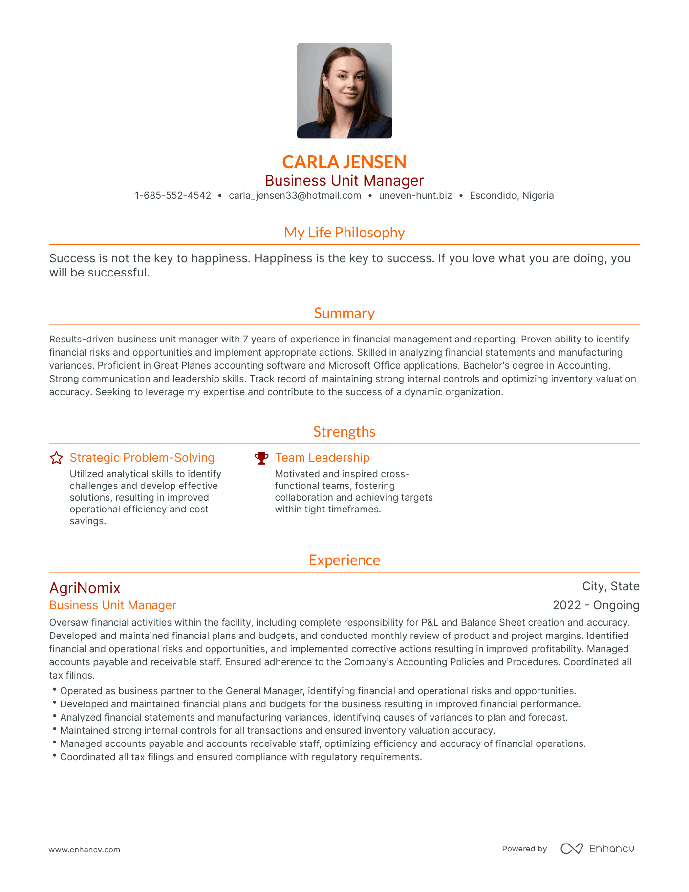 Modern Business Unit Manager Resume Example