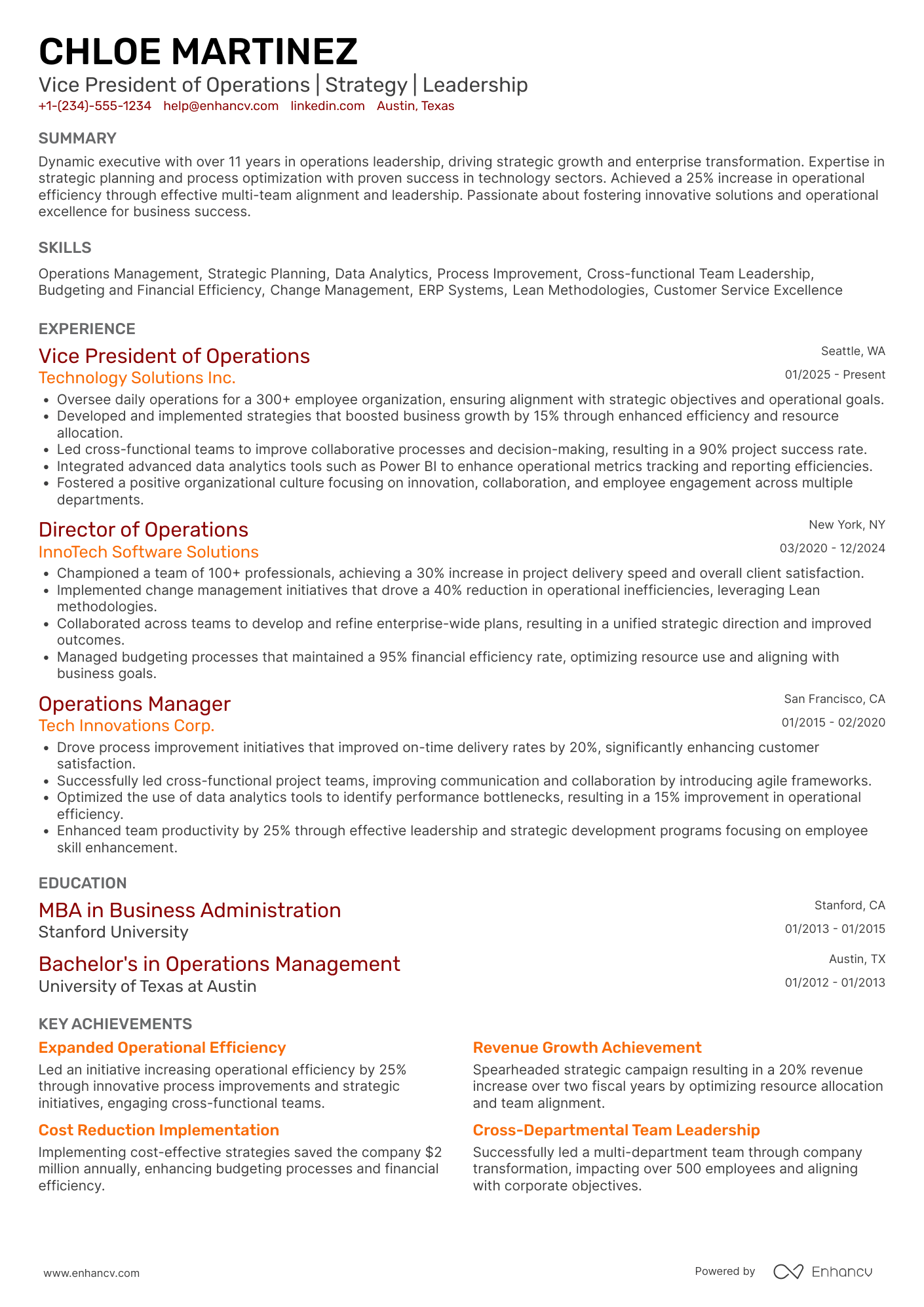 Vice President resume example