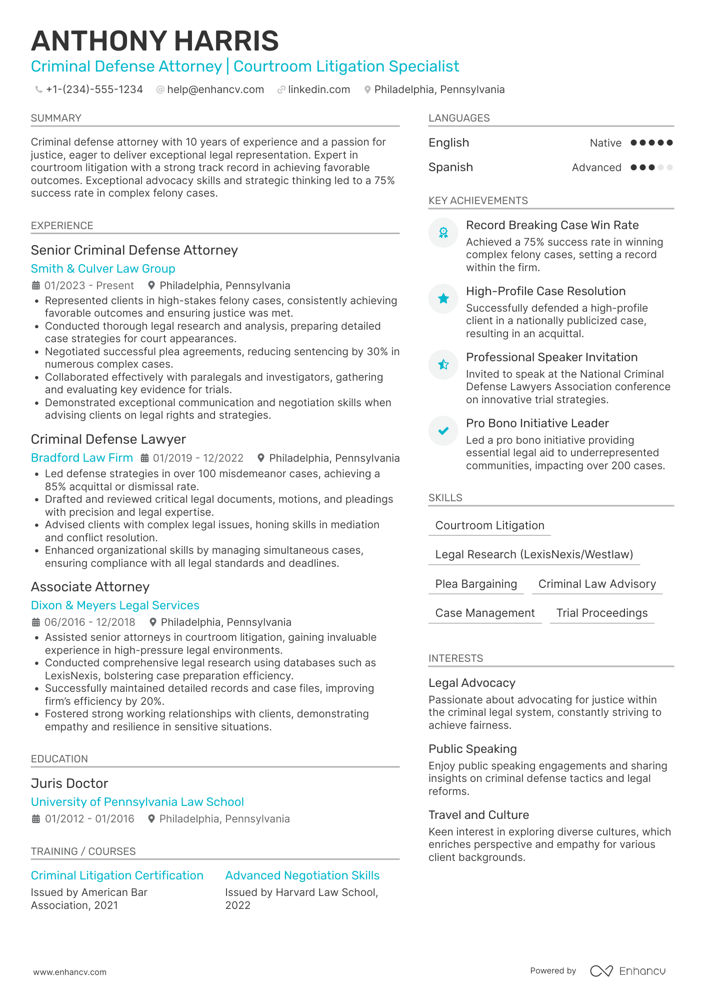 Criminal Lawyer resume example