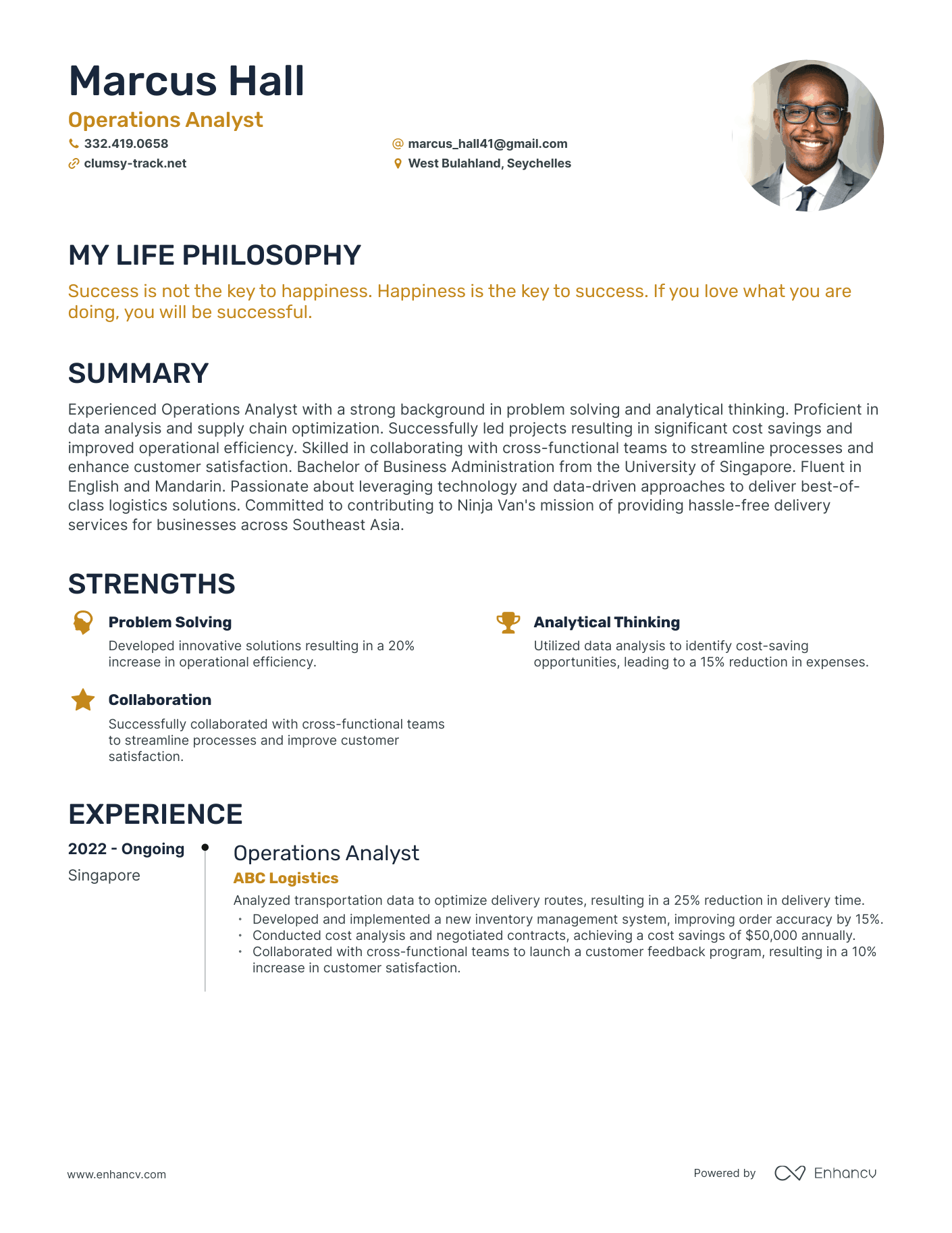 Creative Operations Analyst Resume Example