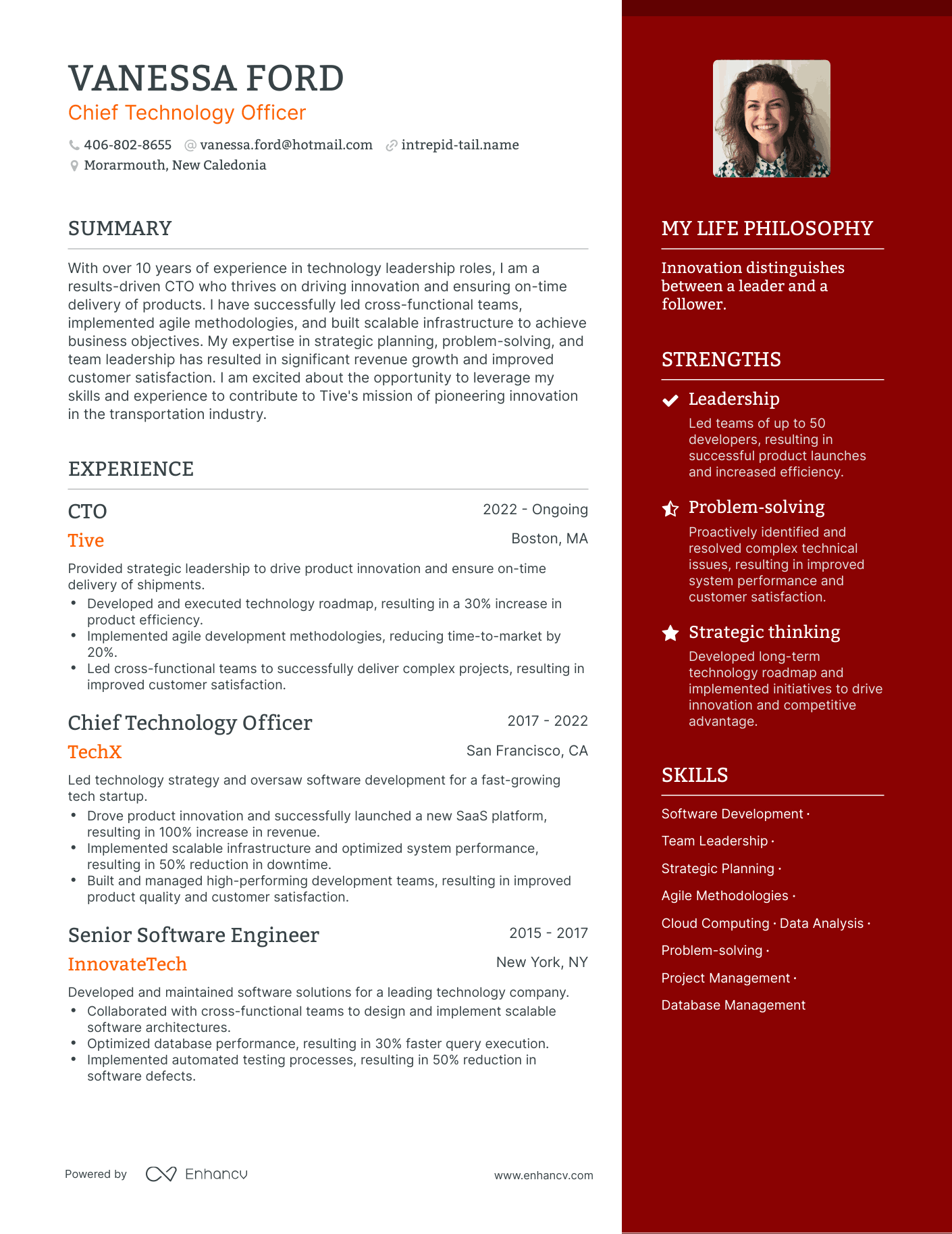 Chief Technology Officer resume example