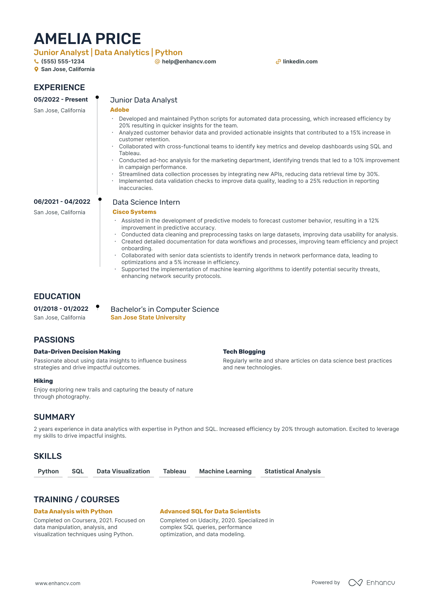 Music Video Filmmaker resume example