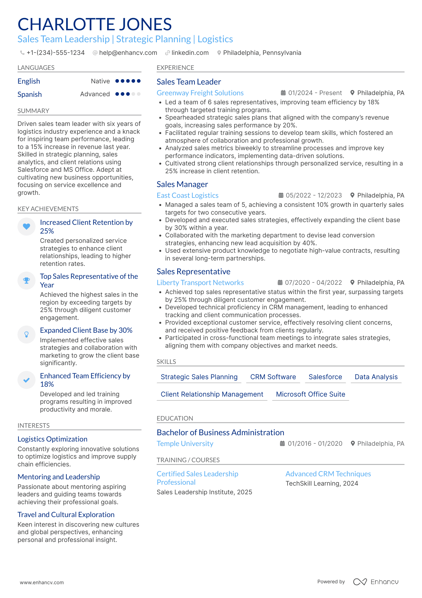 Sales Team Leader resume example