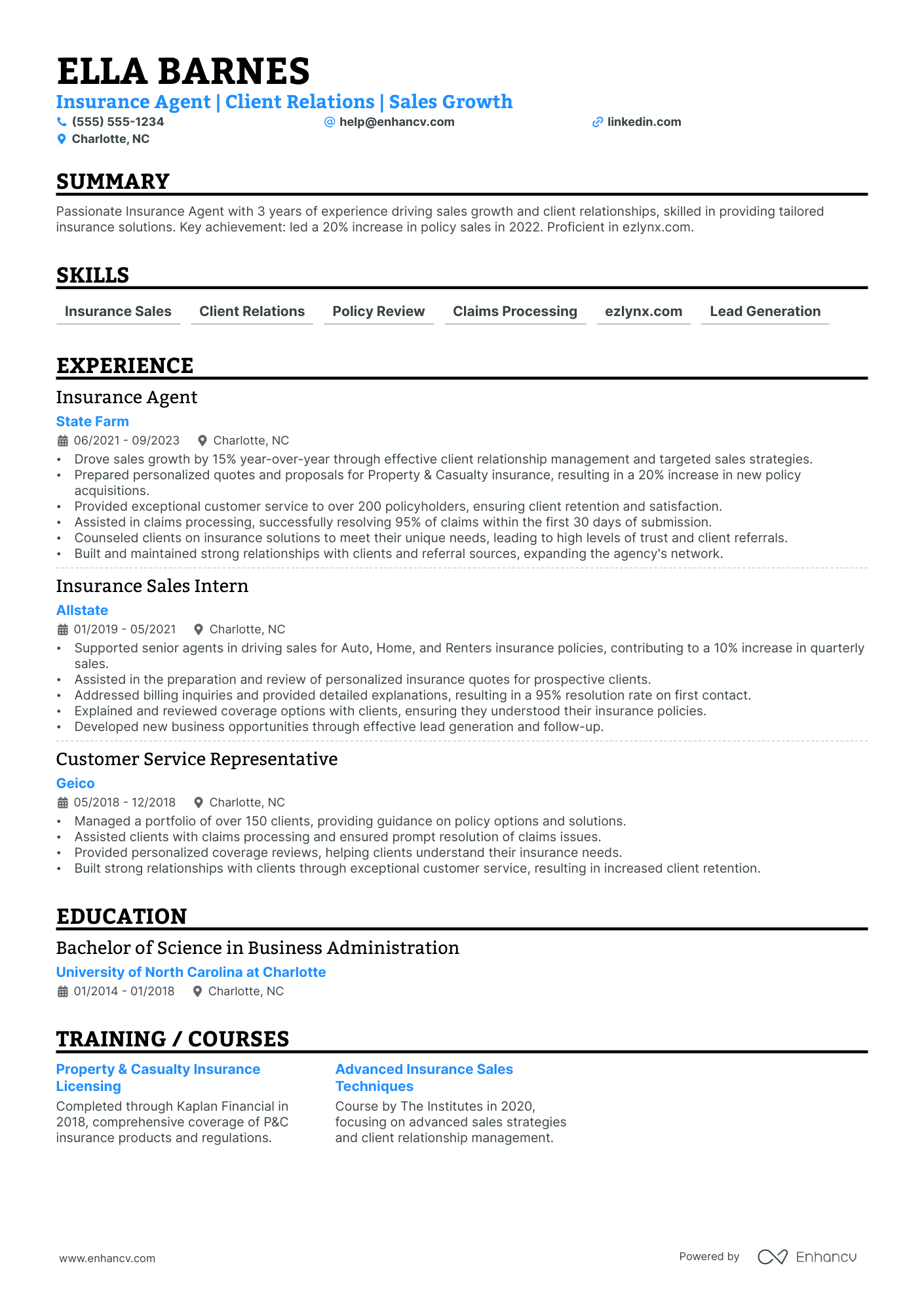 Property Insurance Agent resume example