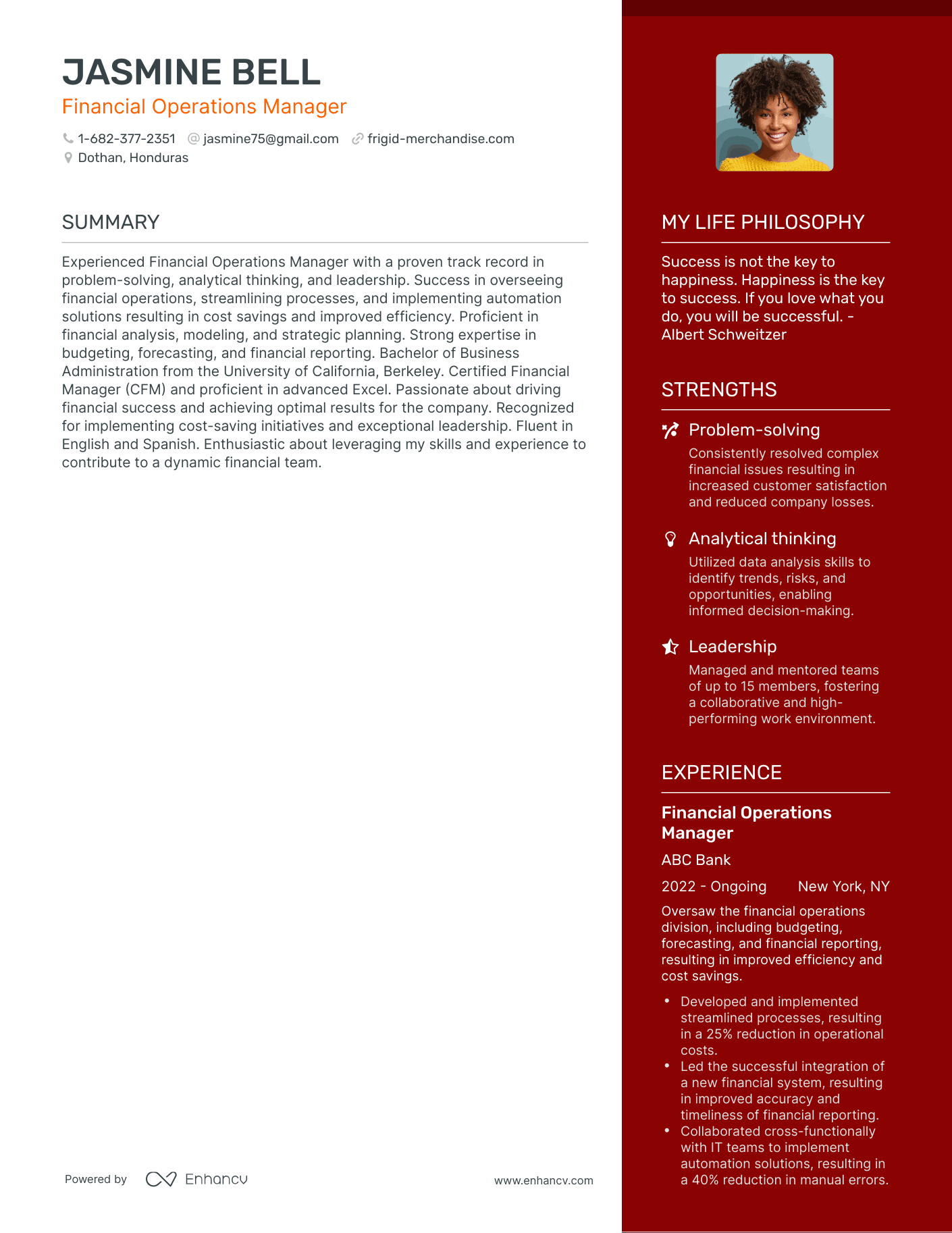 Modern Financial Operations Manager Resume Example