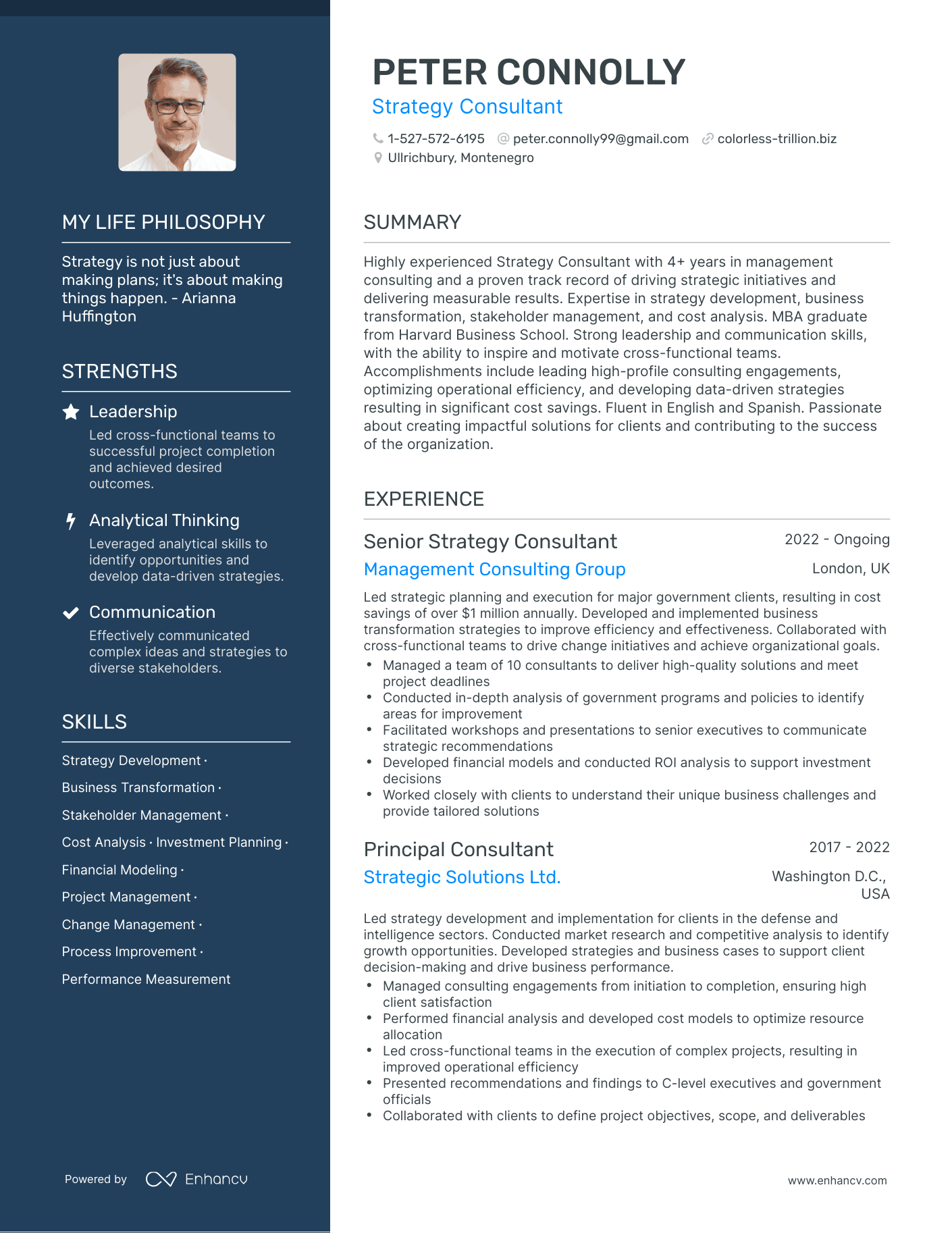 Creative Strategy Consultant Resume Example