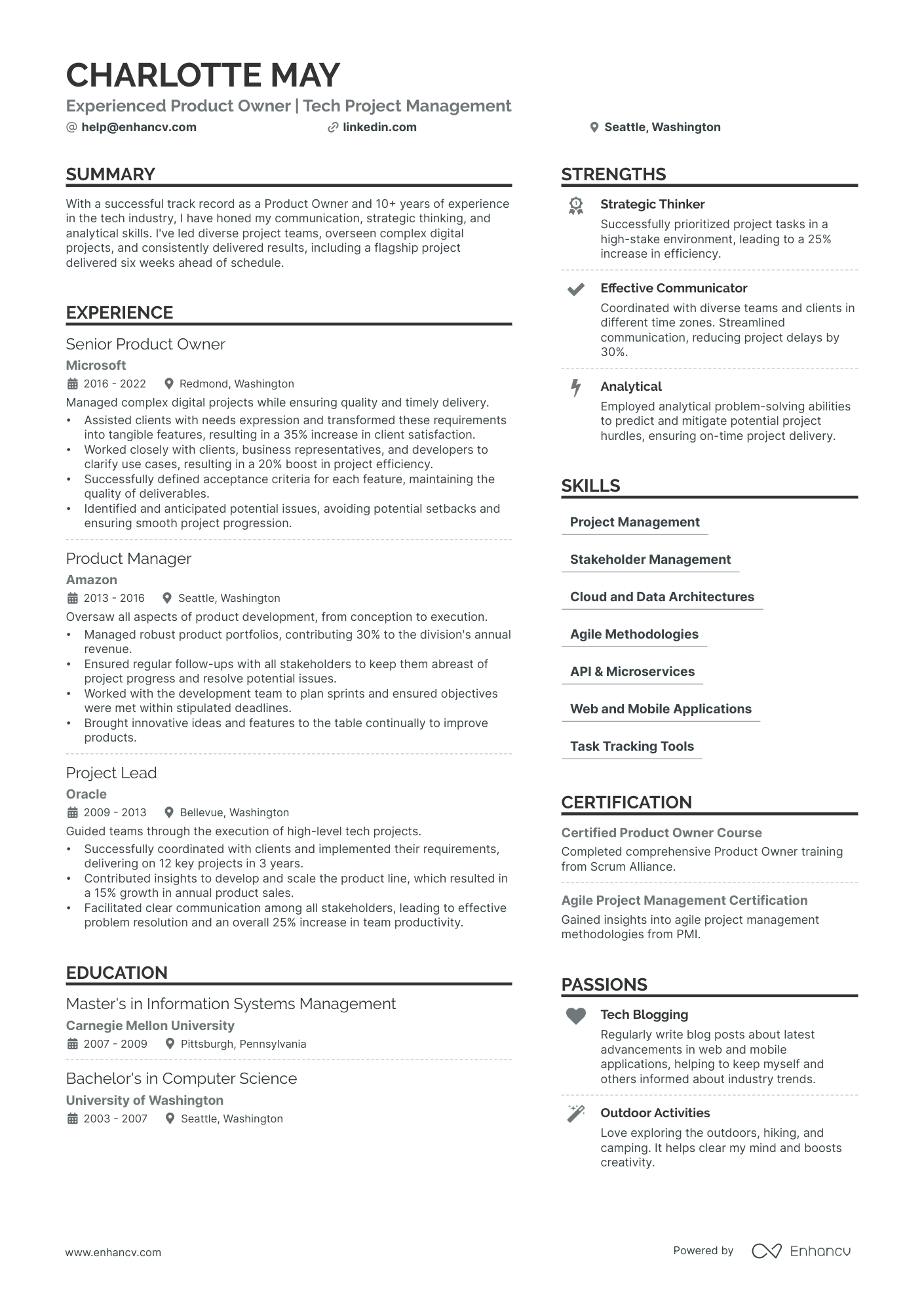 Product Owner resume example