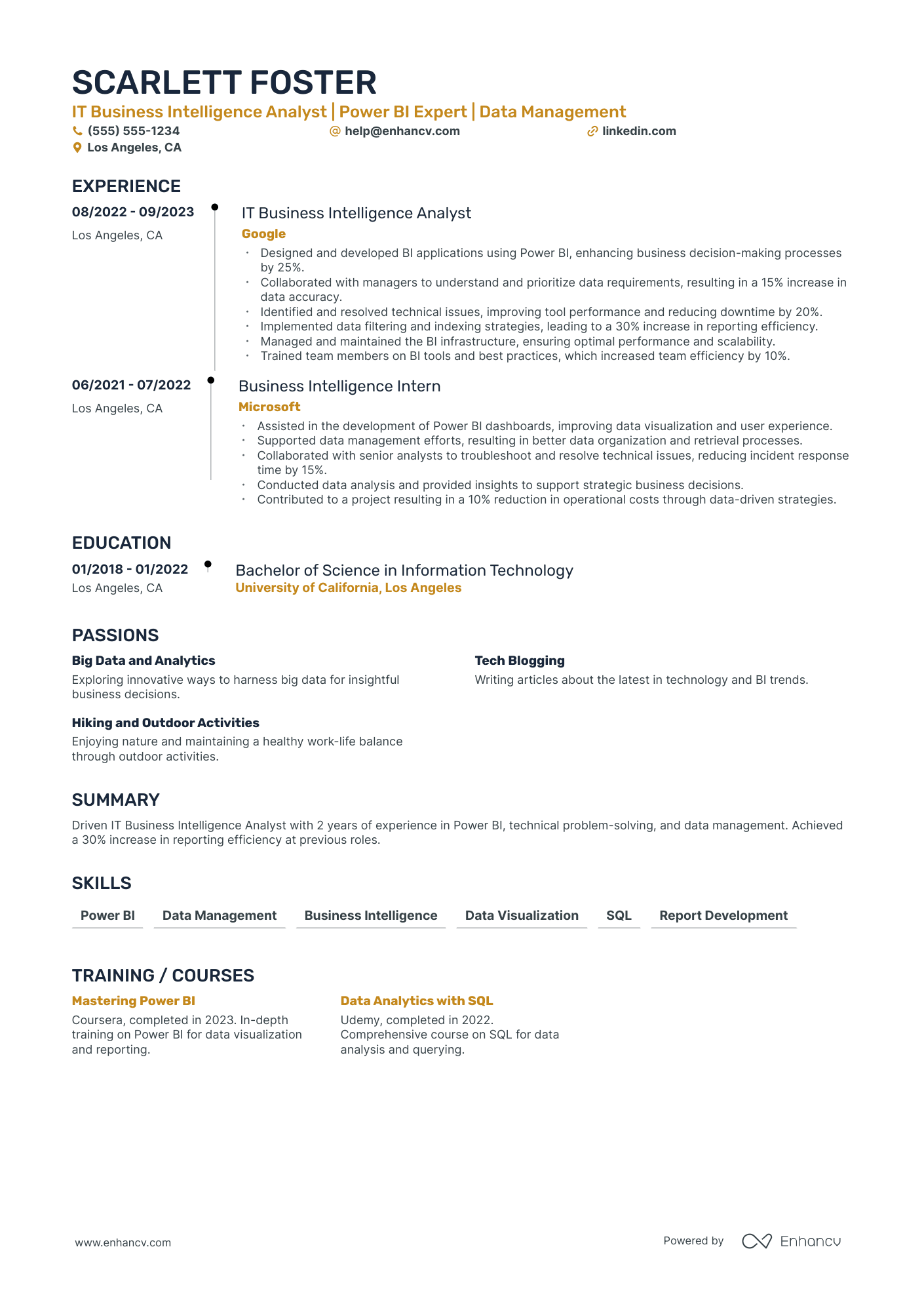 Business Intelligence Analyst resume example