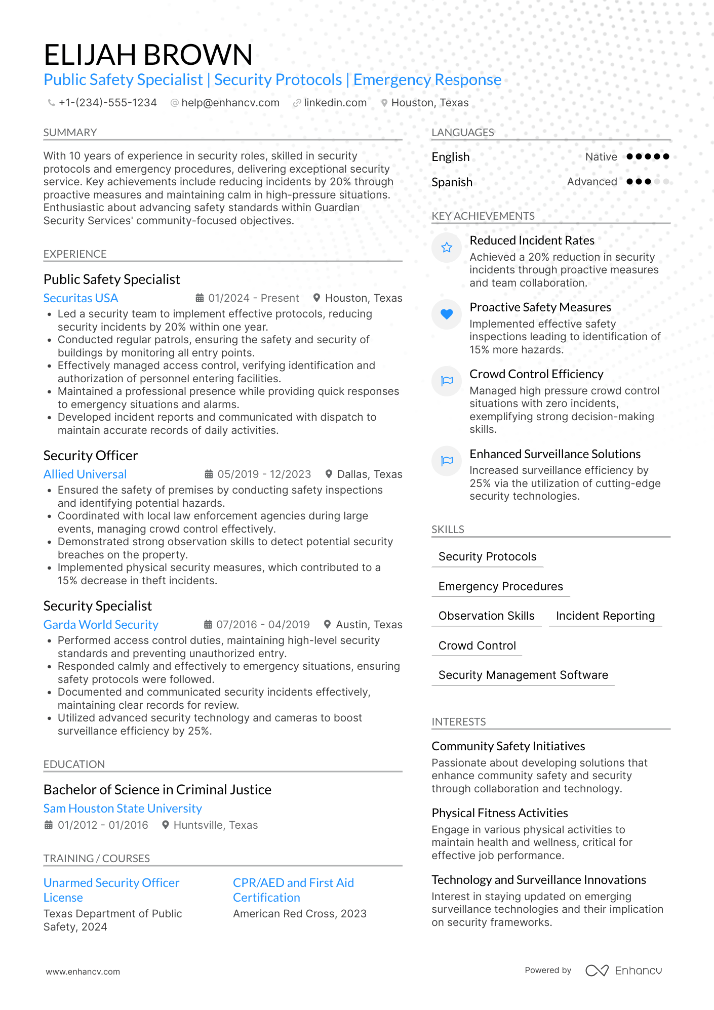Public Safety Officer resume example