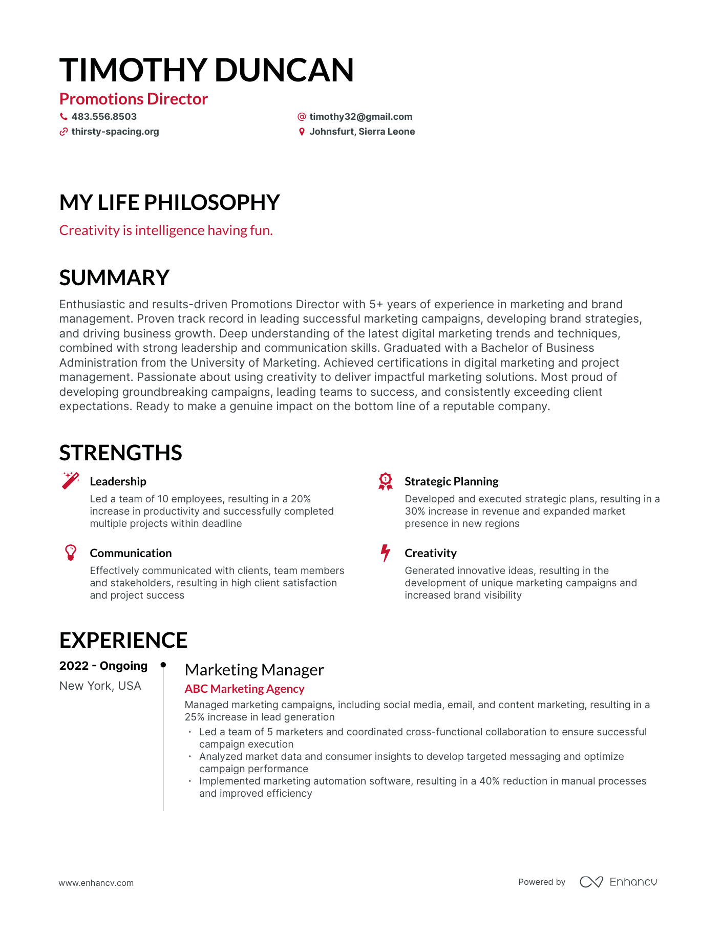 Creative Promotions Director Resume Example