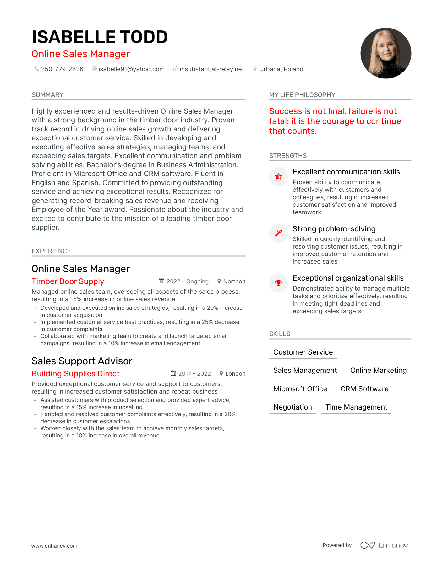 Modern Online Sales Manager Resume Example