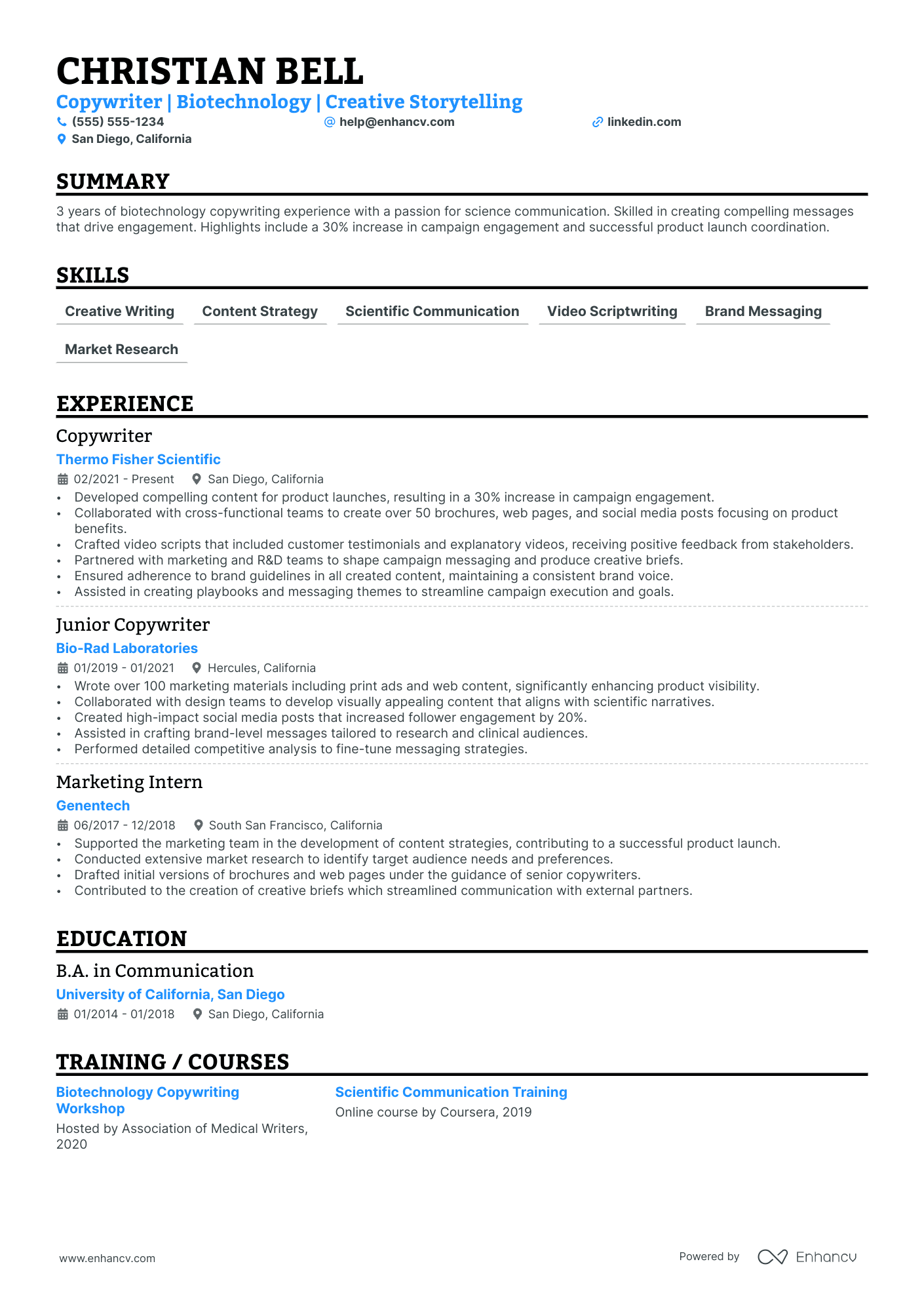 Brand Copywriter resume example