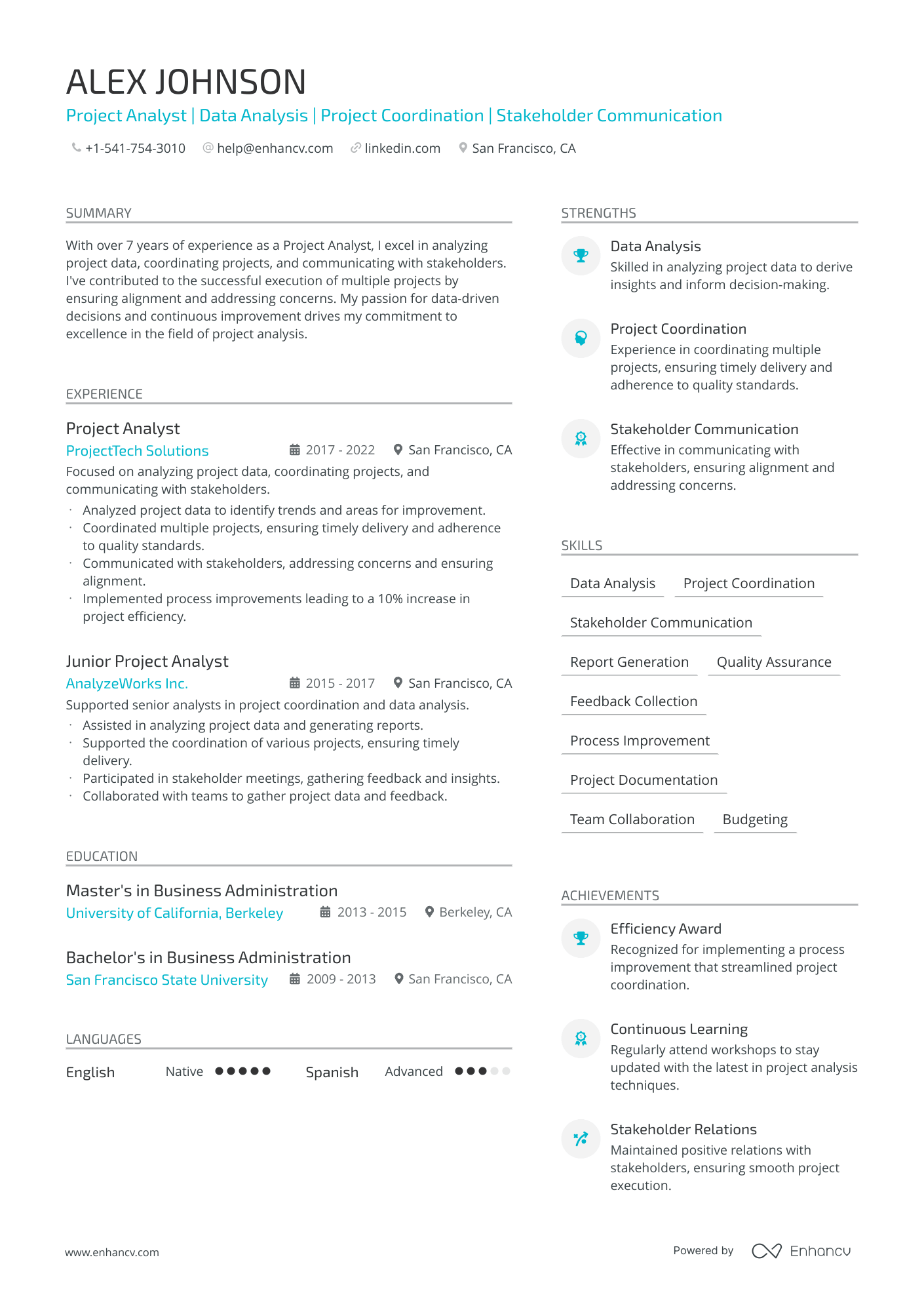 Project Analyst resume example