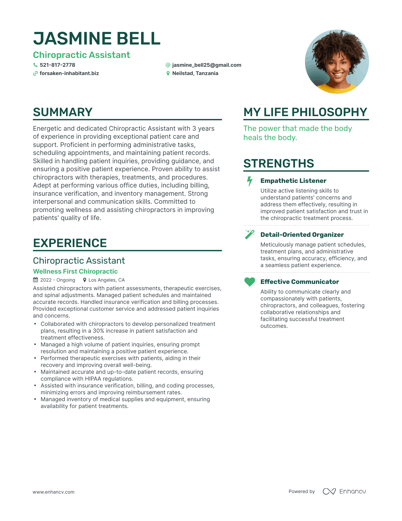 Modern Chiropractic Assistant Resume Example