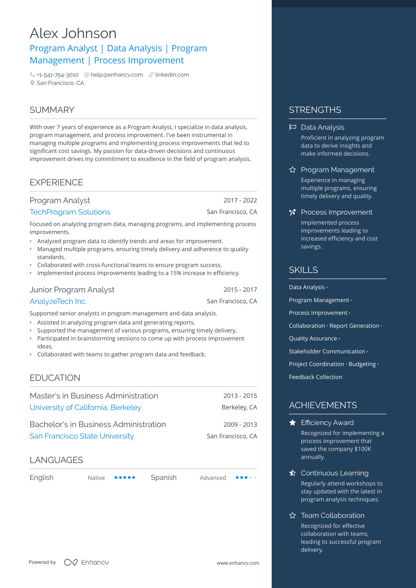 Program Analyst resume example