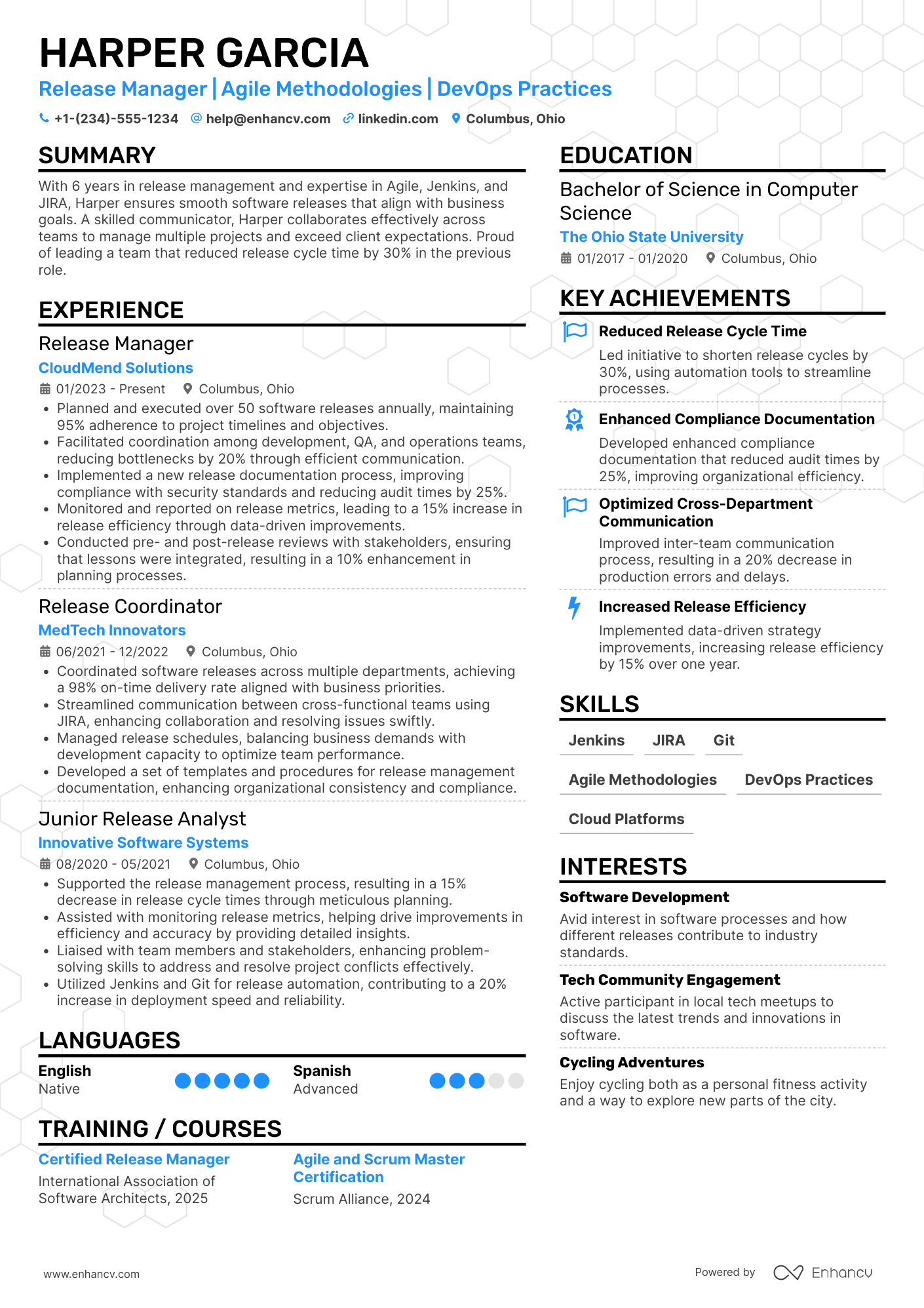 Release Manager resume example