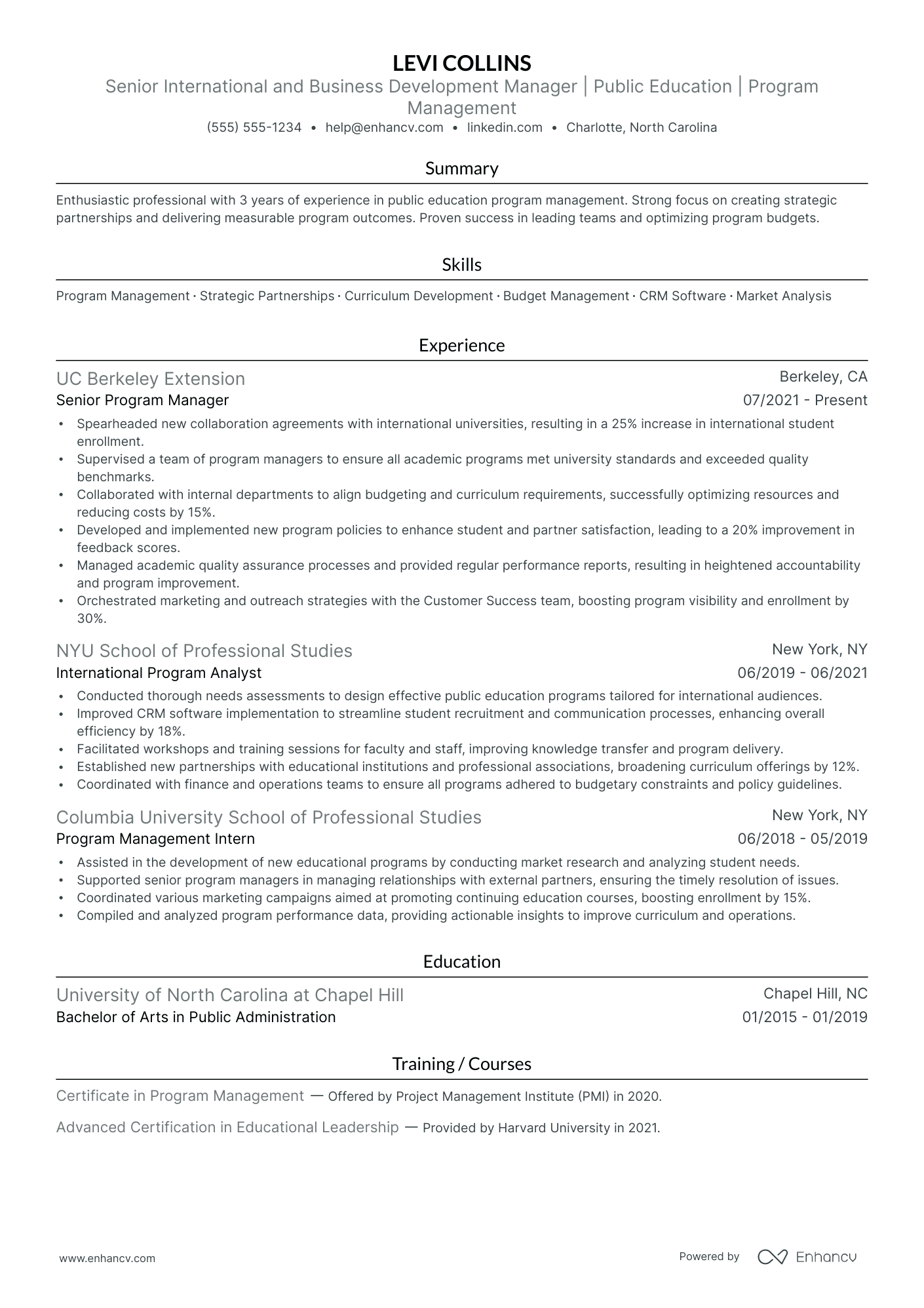 International Business Development Manager Resume Example Resume Example