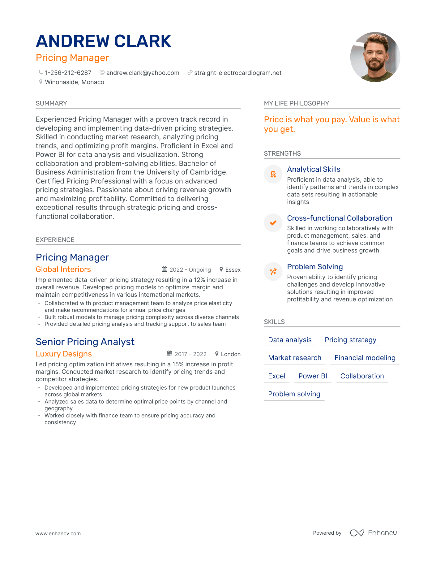 Modern Pricing Manager Resume Example