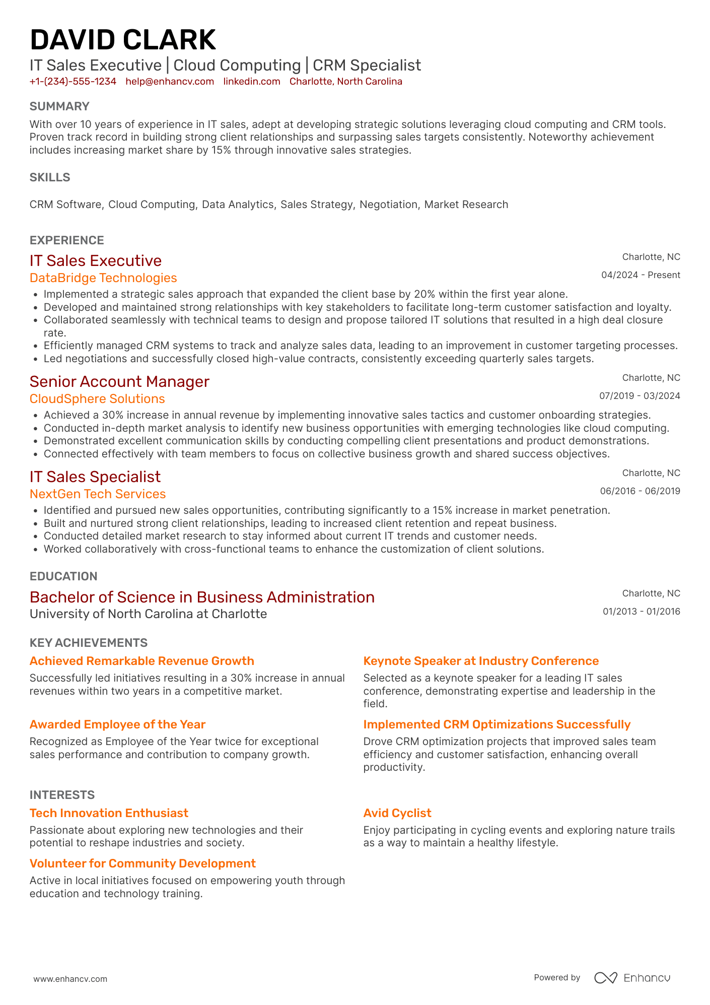 IT Sales Executive resume example
