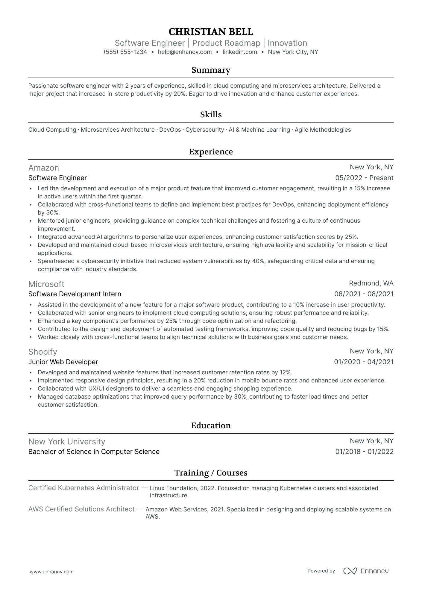 Chief Technology Strategy Officer resume example