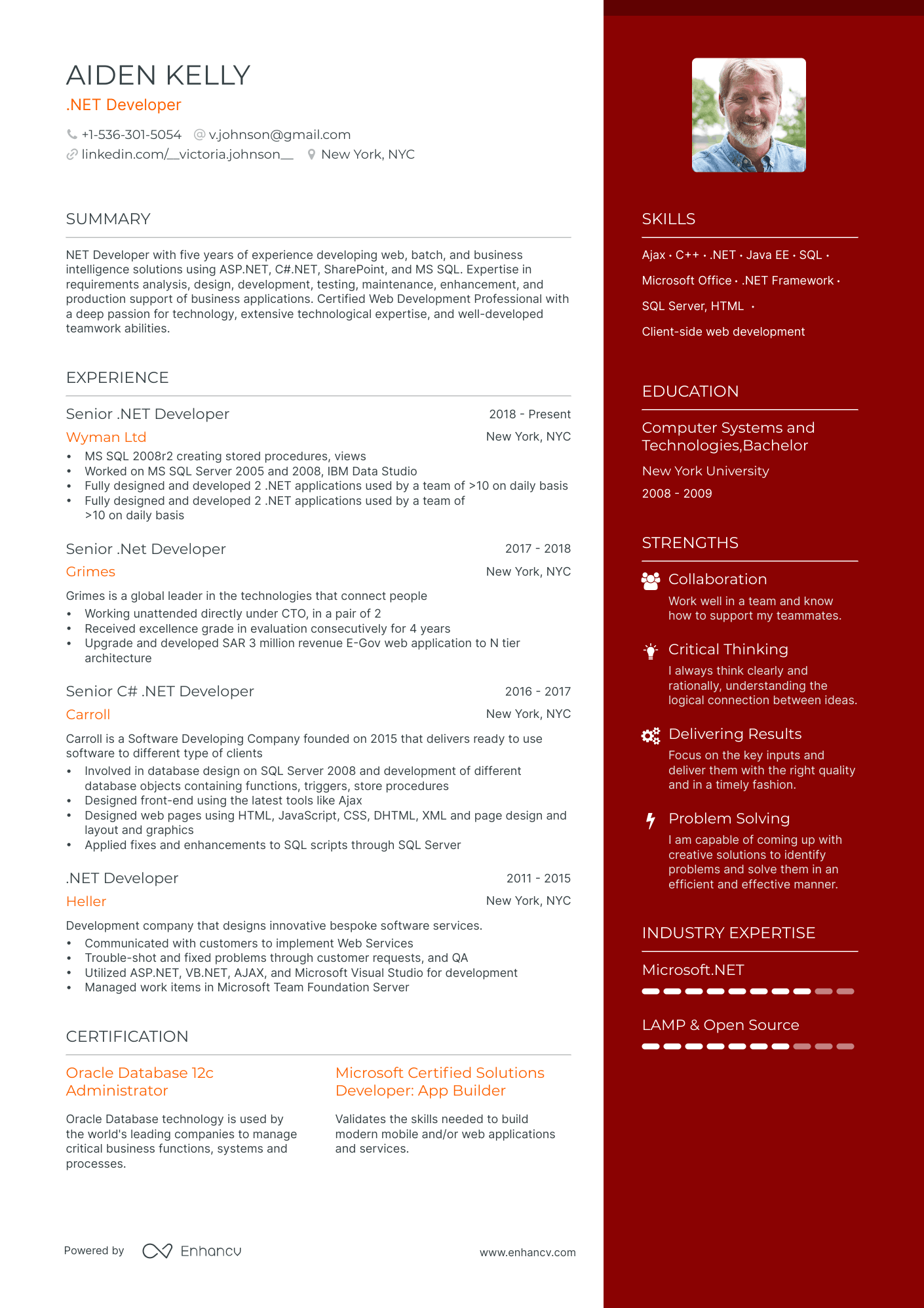 .Net Developer resume example