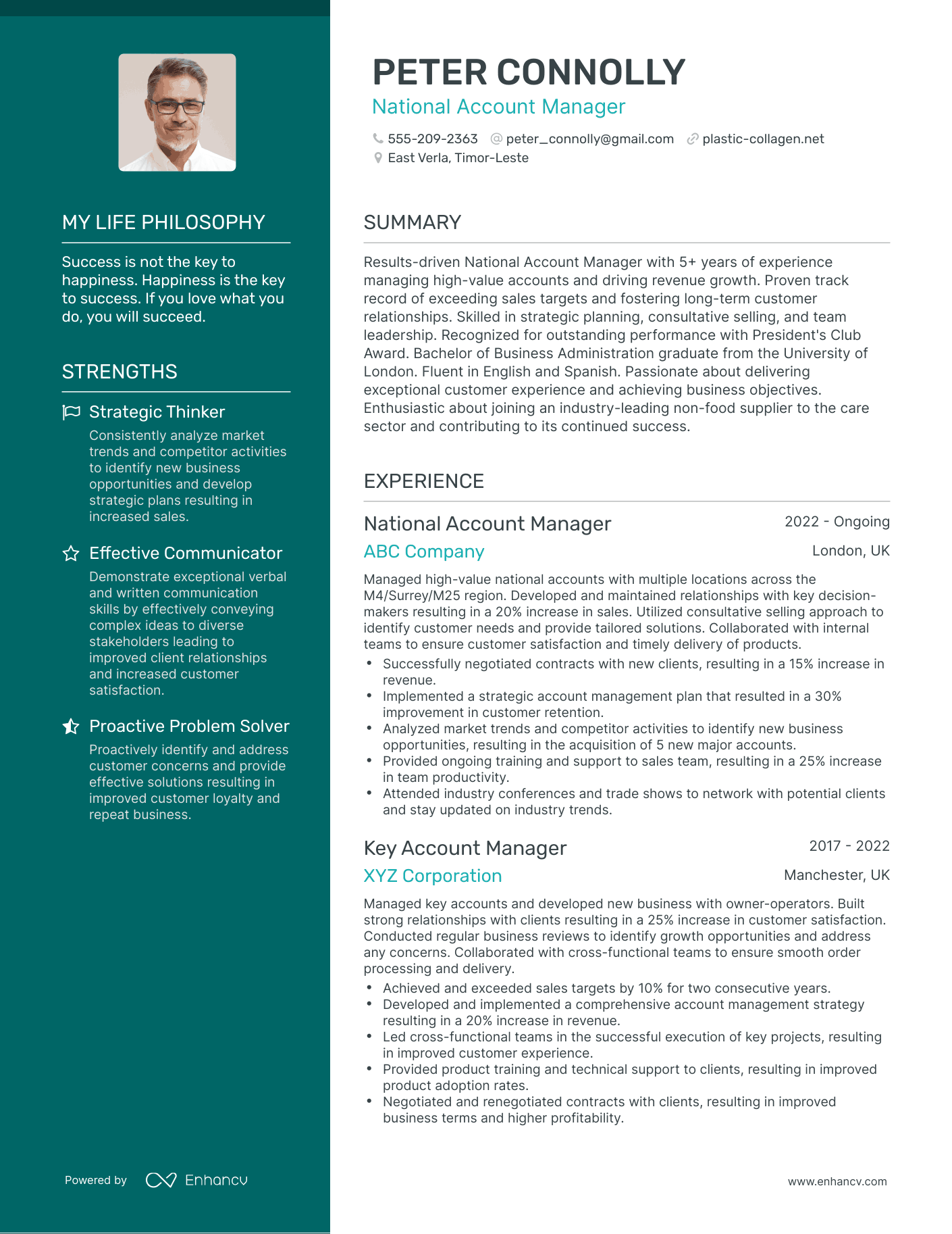 Creative National Account Manager Resume Example