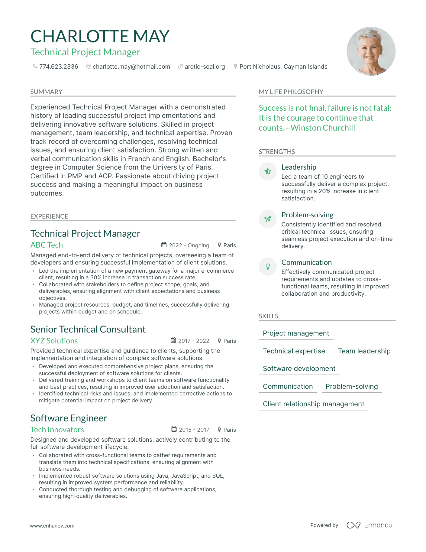 Technical Project Manager resume example