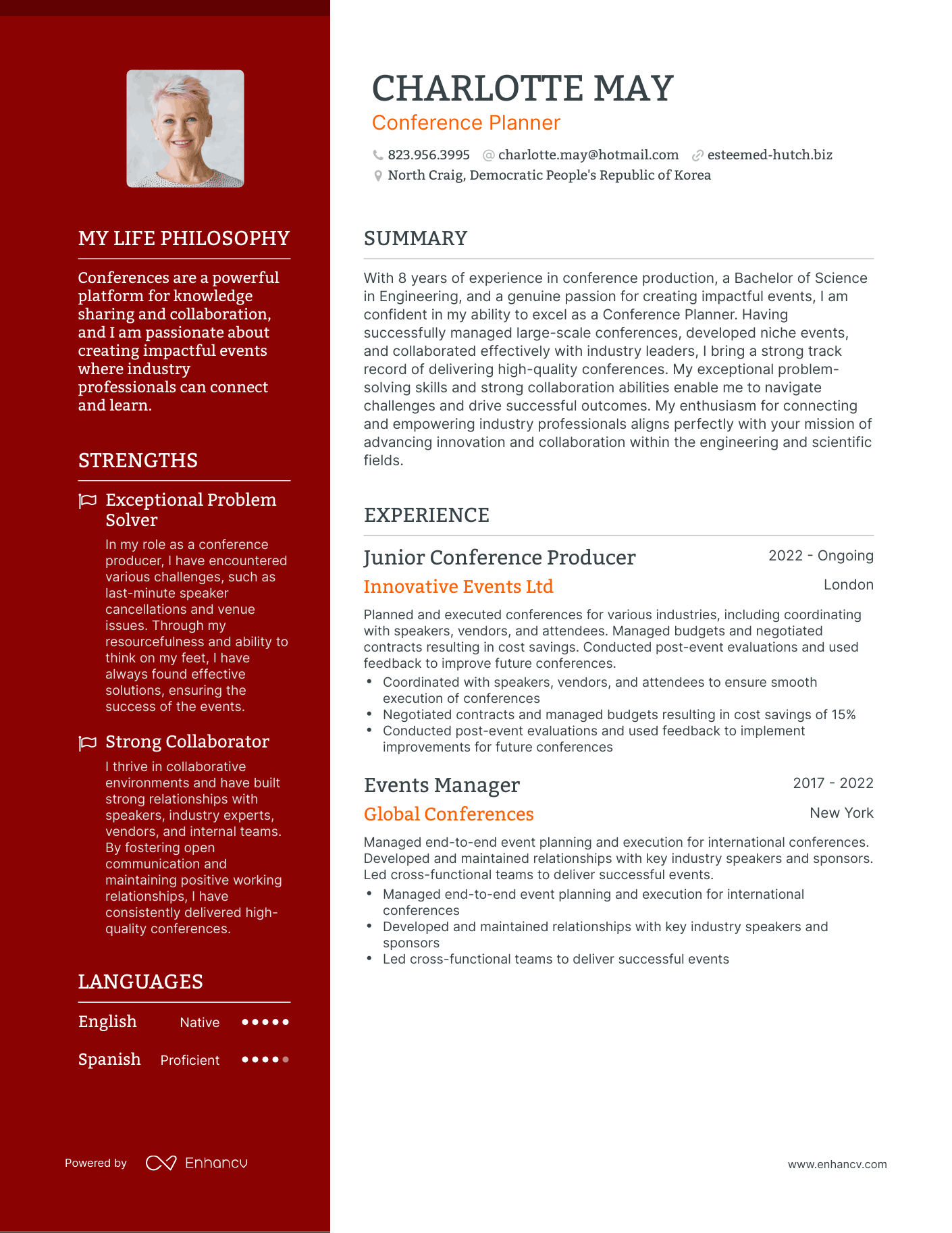 Creative Conference Planner Resume Example