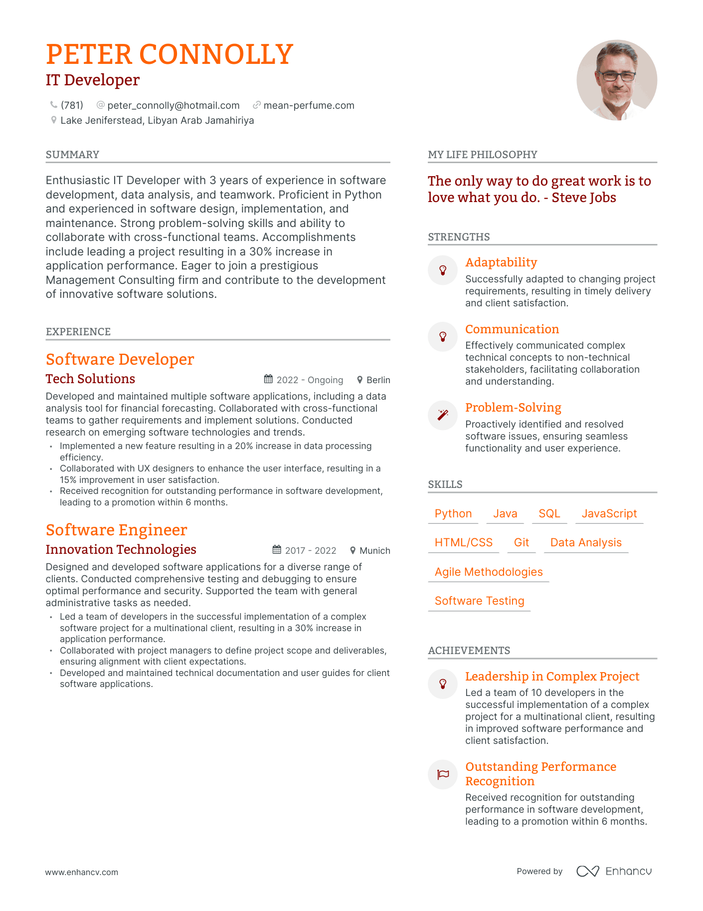IT Developer resume example