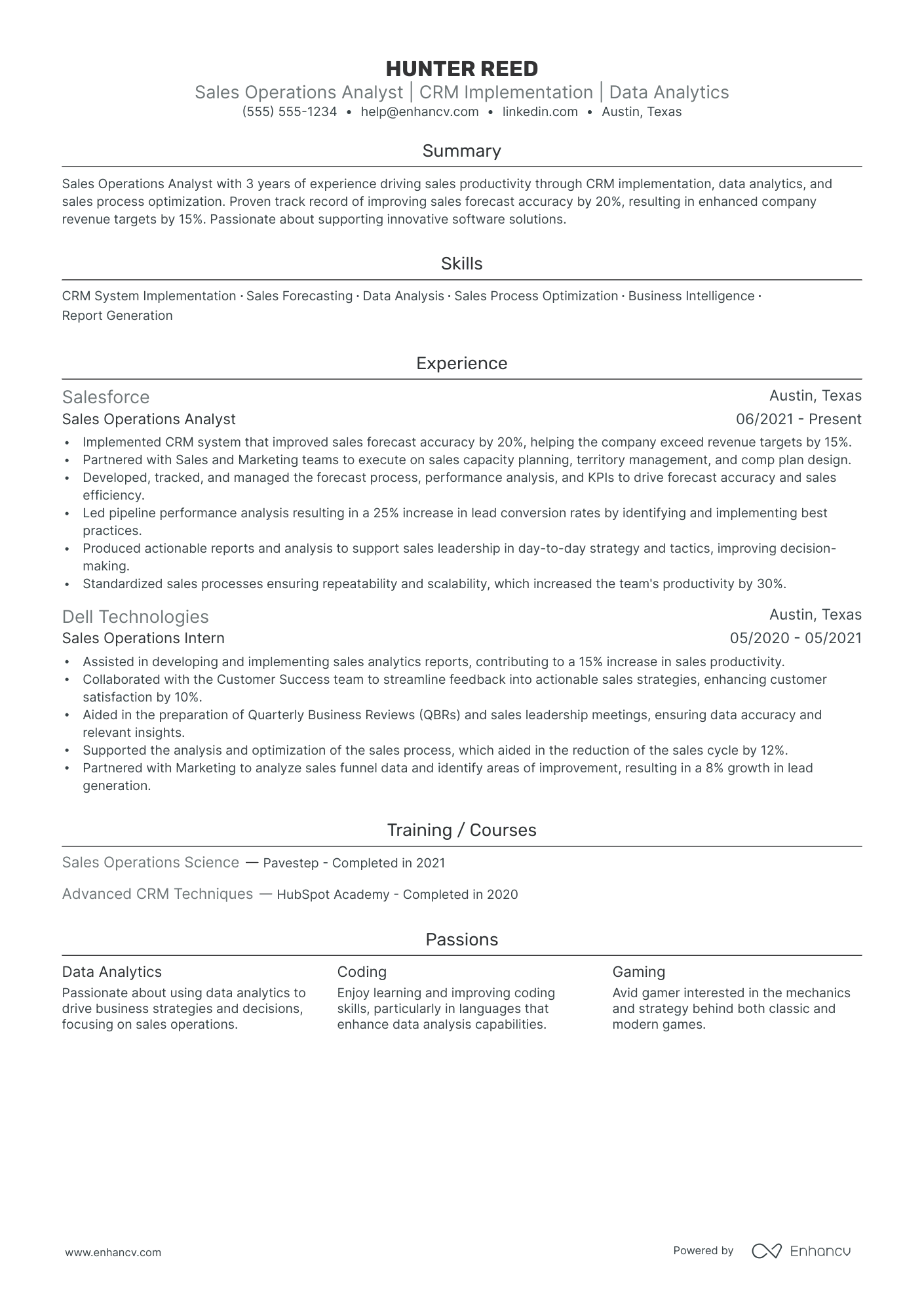 Sales Operations Director resume example