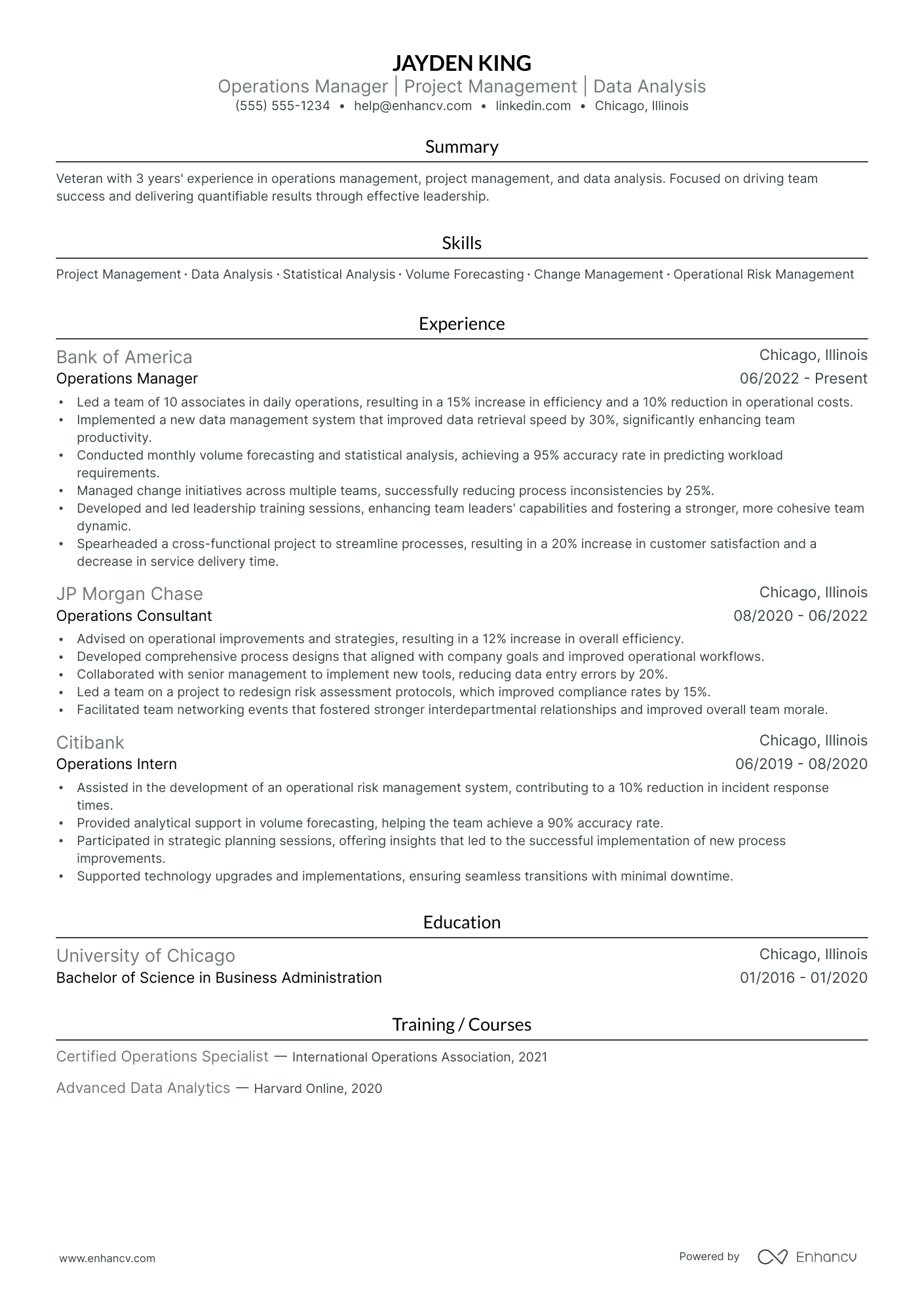 Global Technology Manager resume example