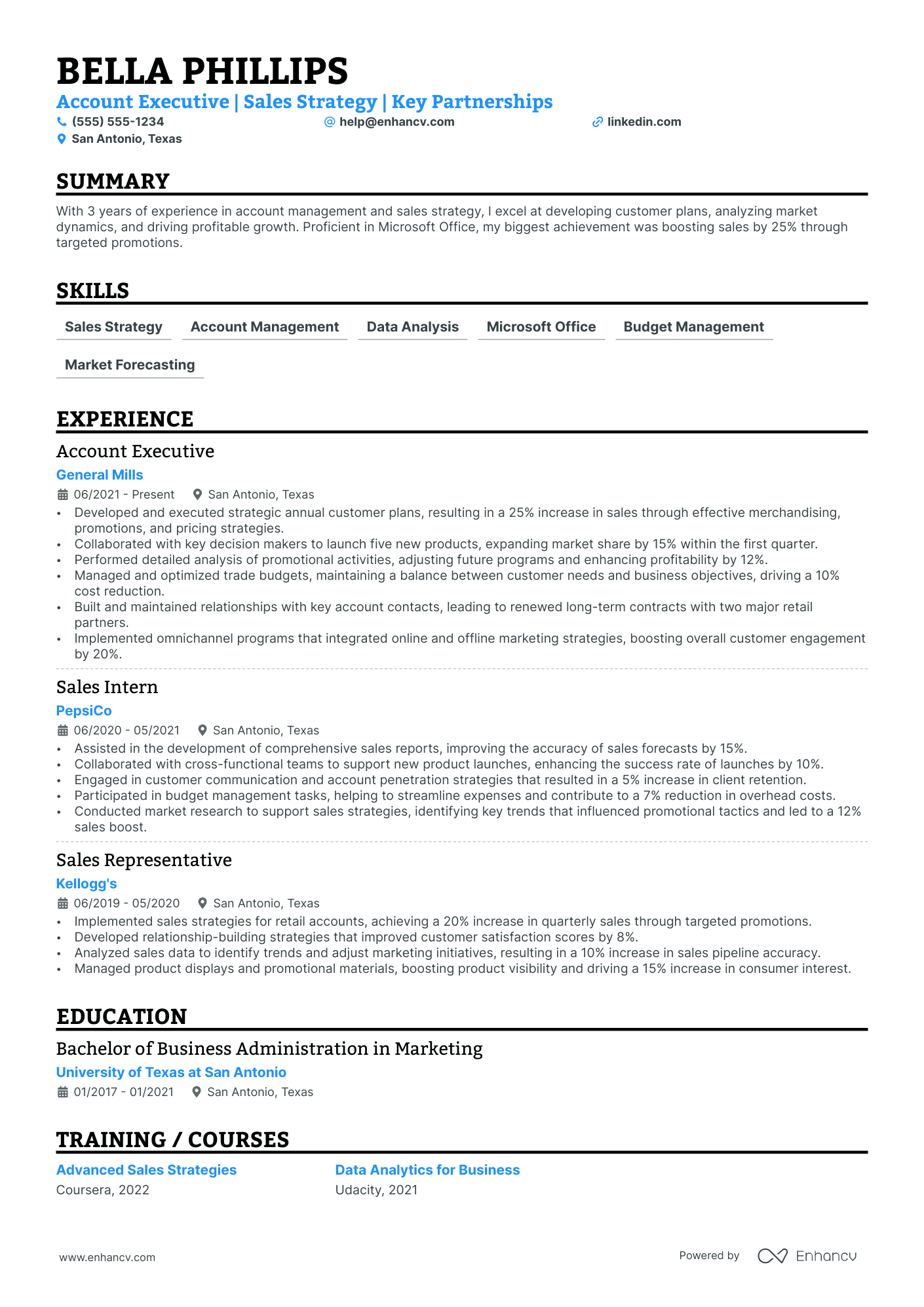 Key Account Executive resume example